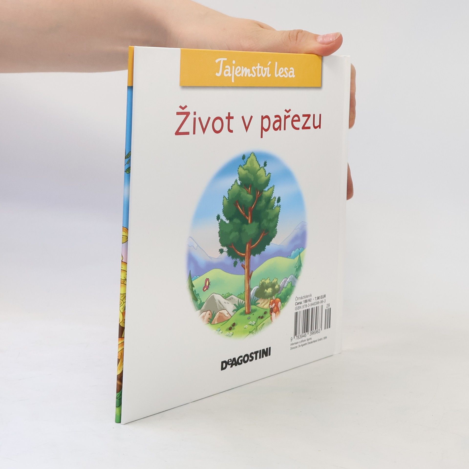 Collectif d'auteurs Tajemství lesa 50. Život v pařezu