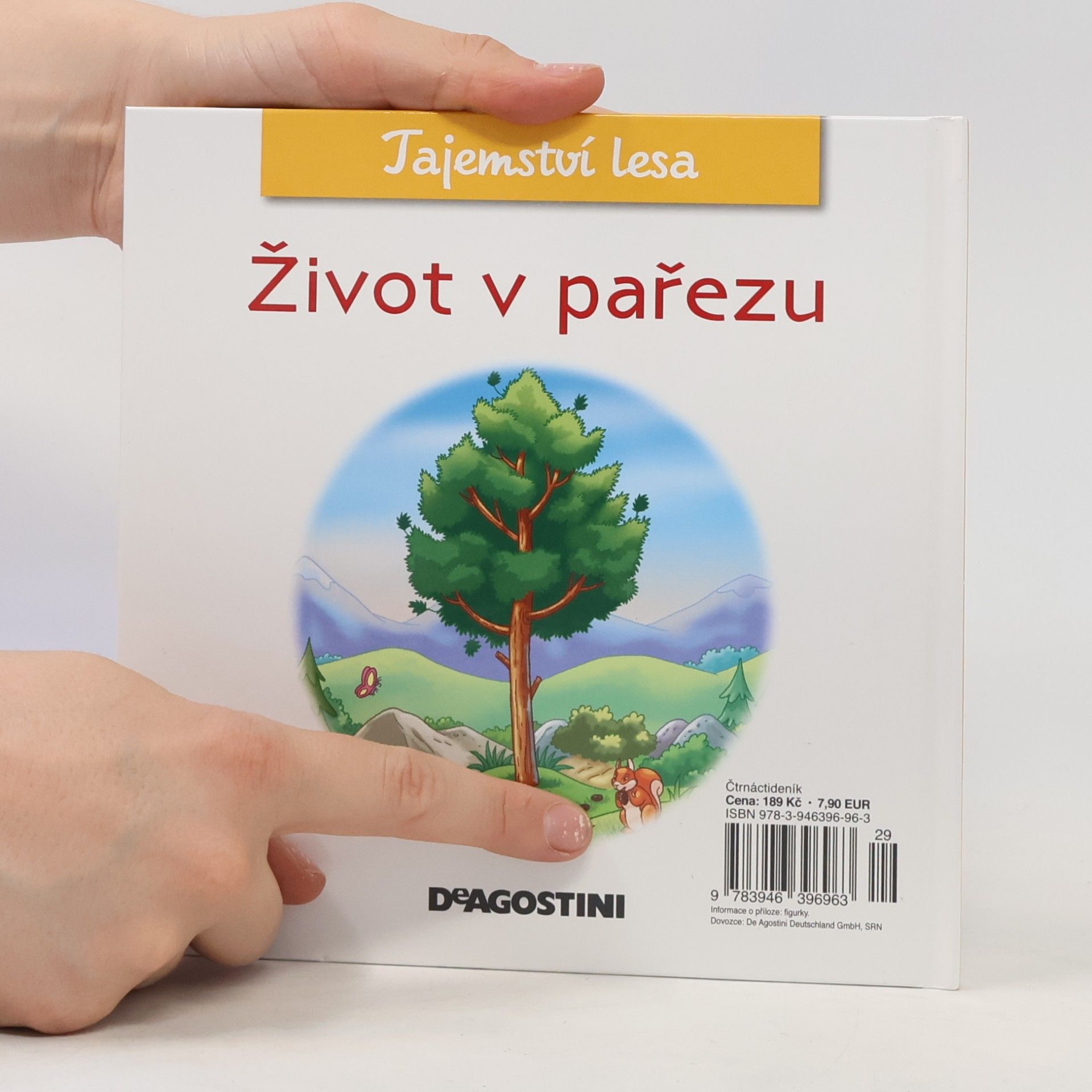 Collectif d'auteurs Tajemství lesa 50. Život v pařezu