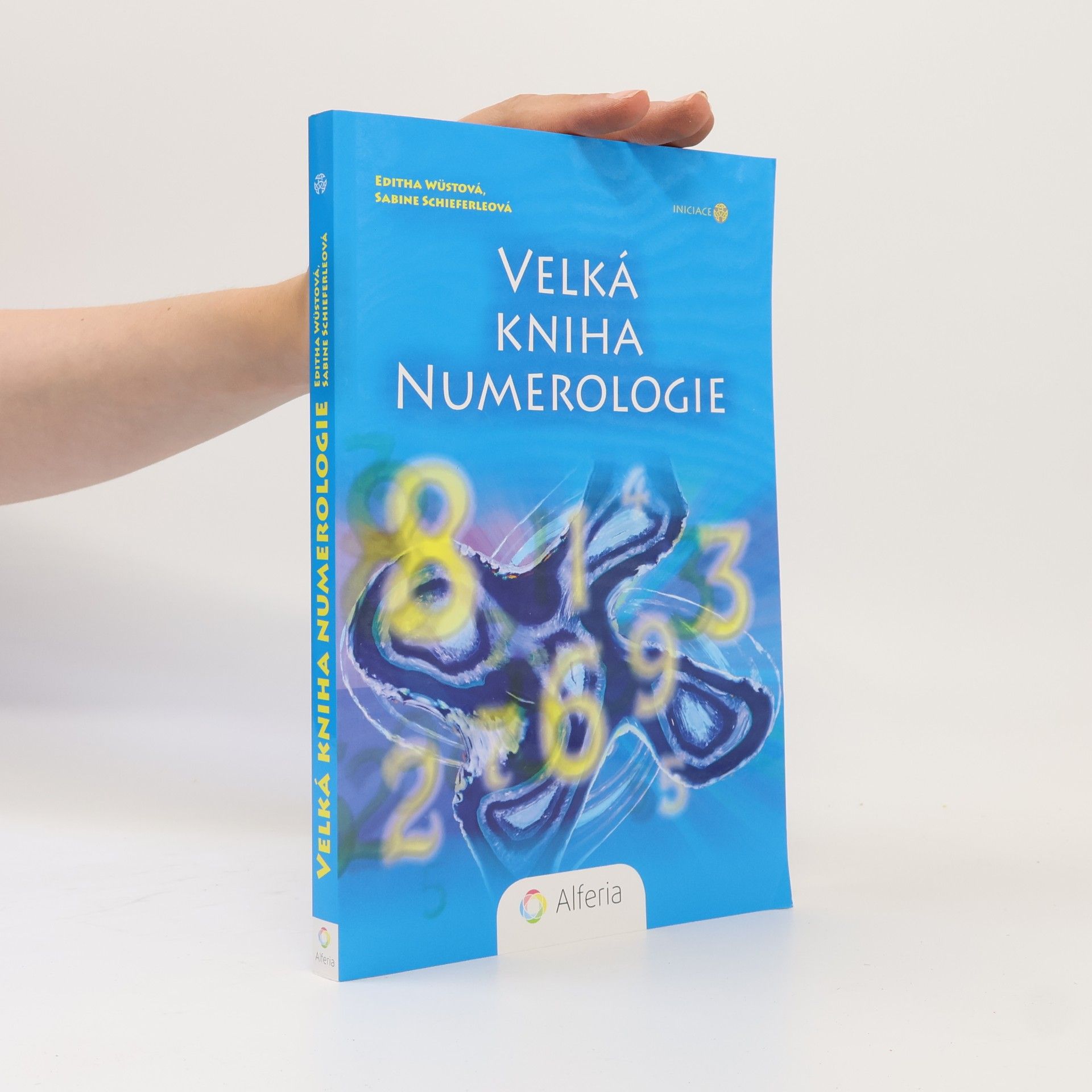 Editha Wüst Velká kniha numerologie