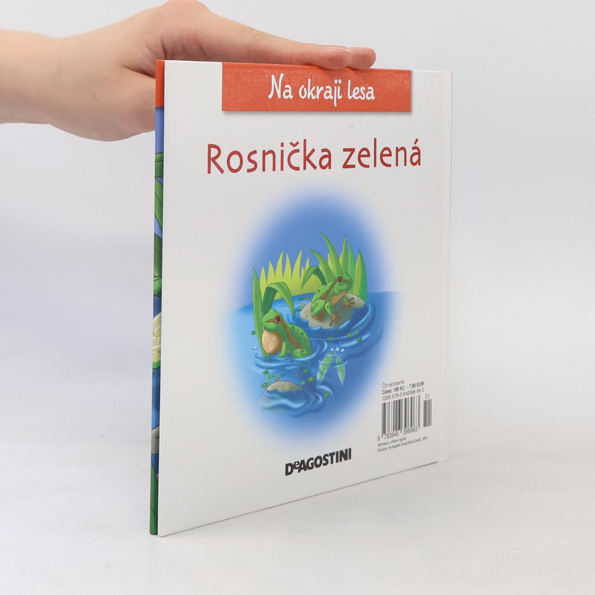Autorenkollektiv Na okraji lesa 35. Rosnička zelená