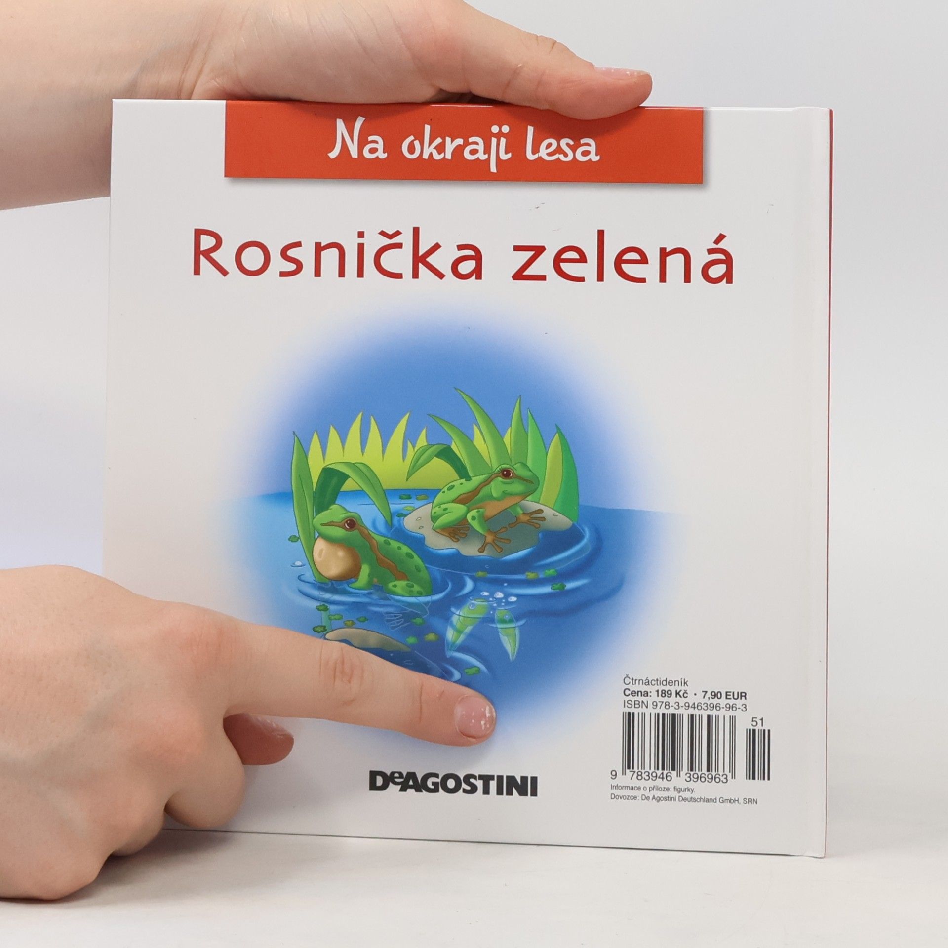 Autorenkollektiv Na okraji lesa 35. Rosnička zelená