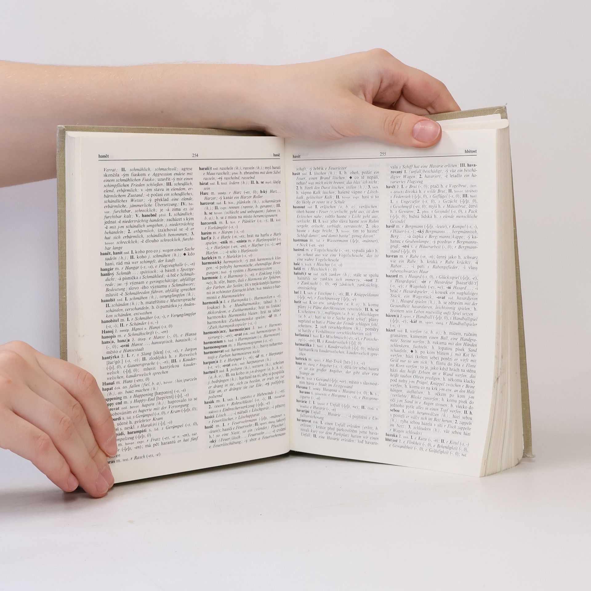 Autorenkollektiv Česko-německý slovník 1. díl A-O