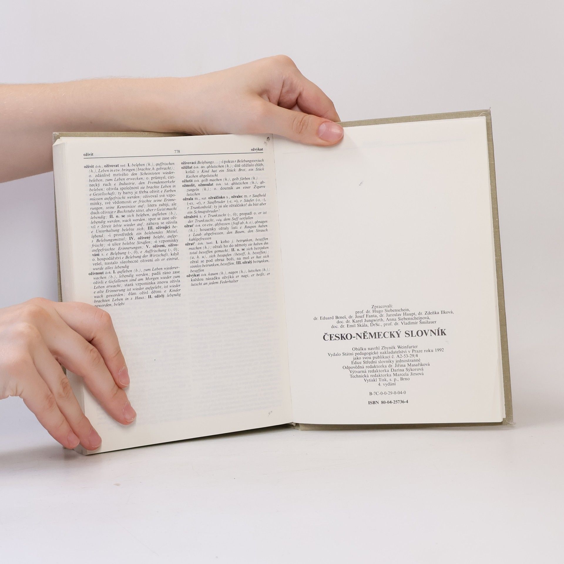 Autorenkollektiv Česko-německý slovník 1. díl A-O
