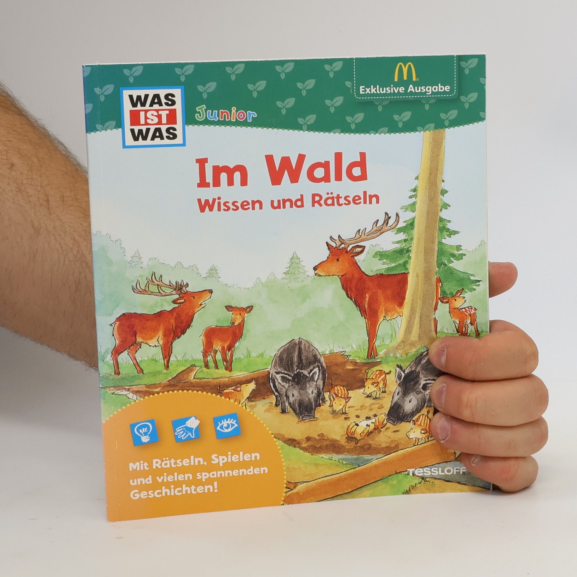 Sabine Stauber Im Wald. Wissen und Rätseln