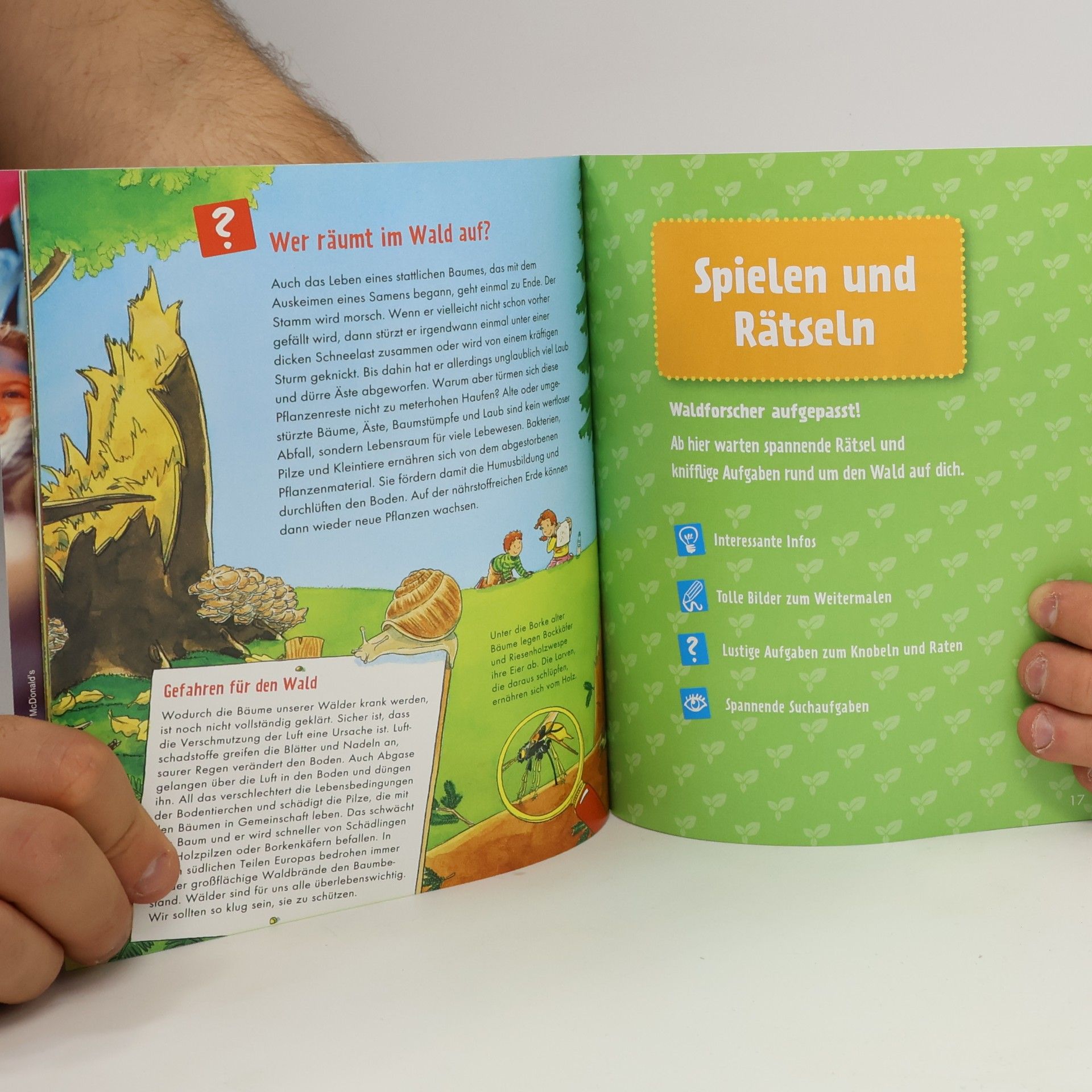 Sabine Stauber Im Wald. Wissen und Rätseln