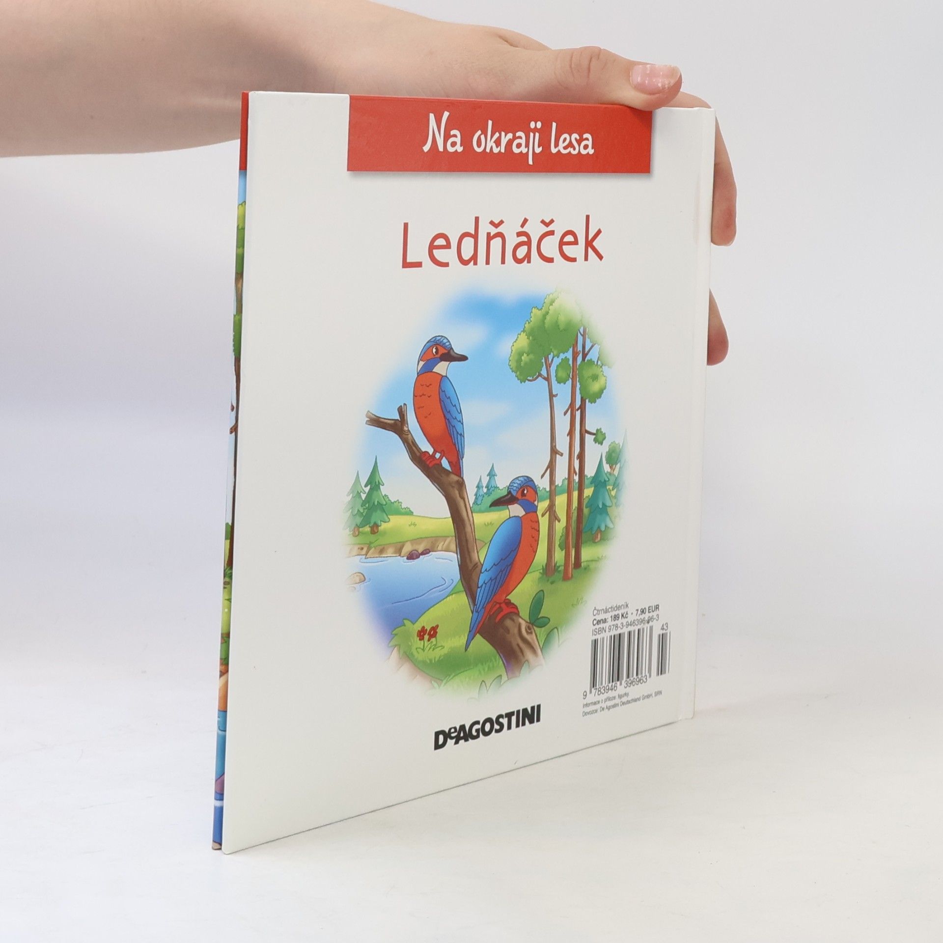 Kolektiv autorů Ledňáček. Na okraji lesa 31