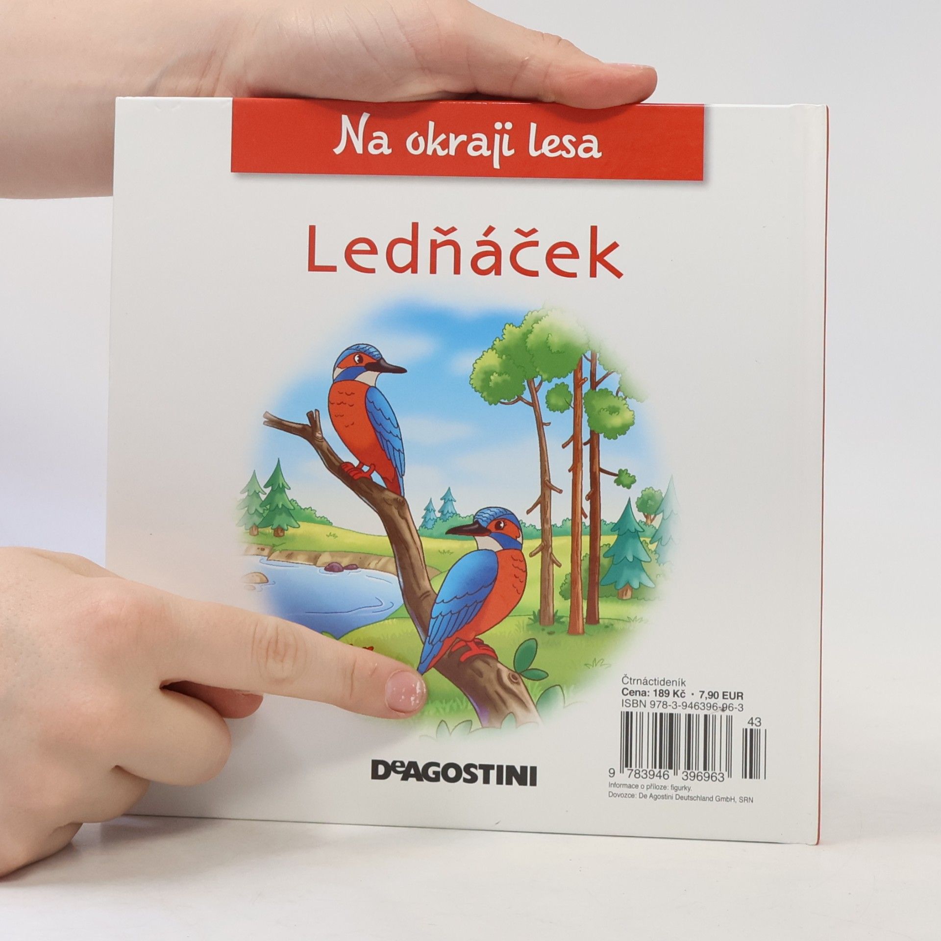 Kolektiv autorů Ledňáček. Na okraji lesa 31