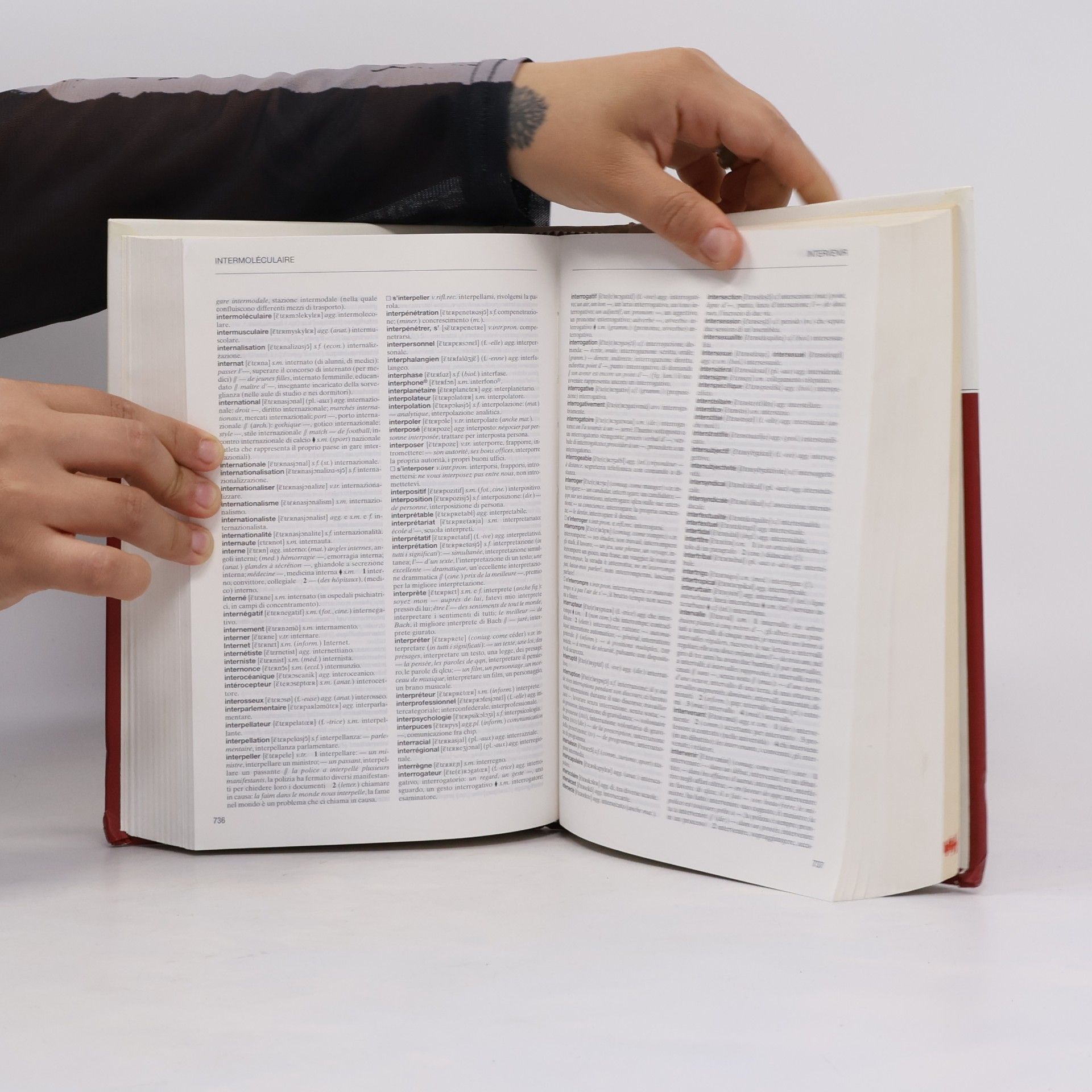 Various authors L'Enciclopedia 32. Dizionario di Francese