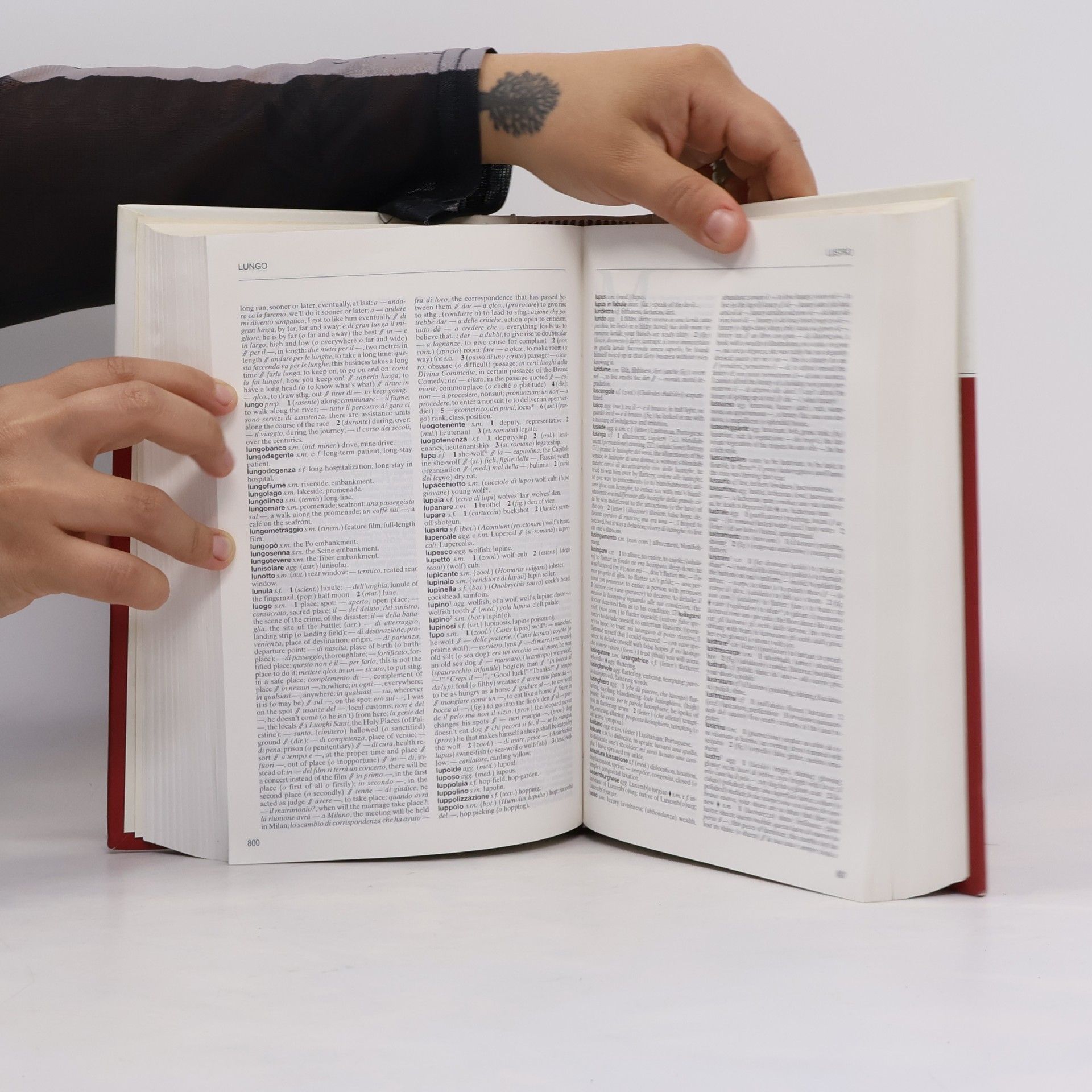 Autorenkollektiv Dizionario di inglese. Italiano-inglese 30