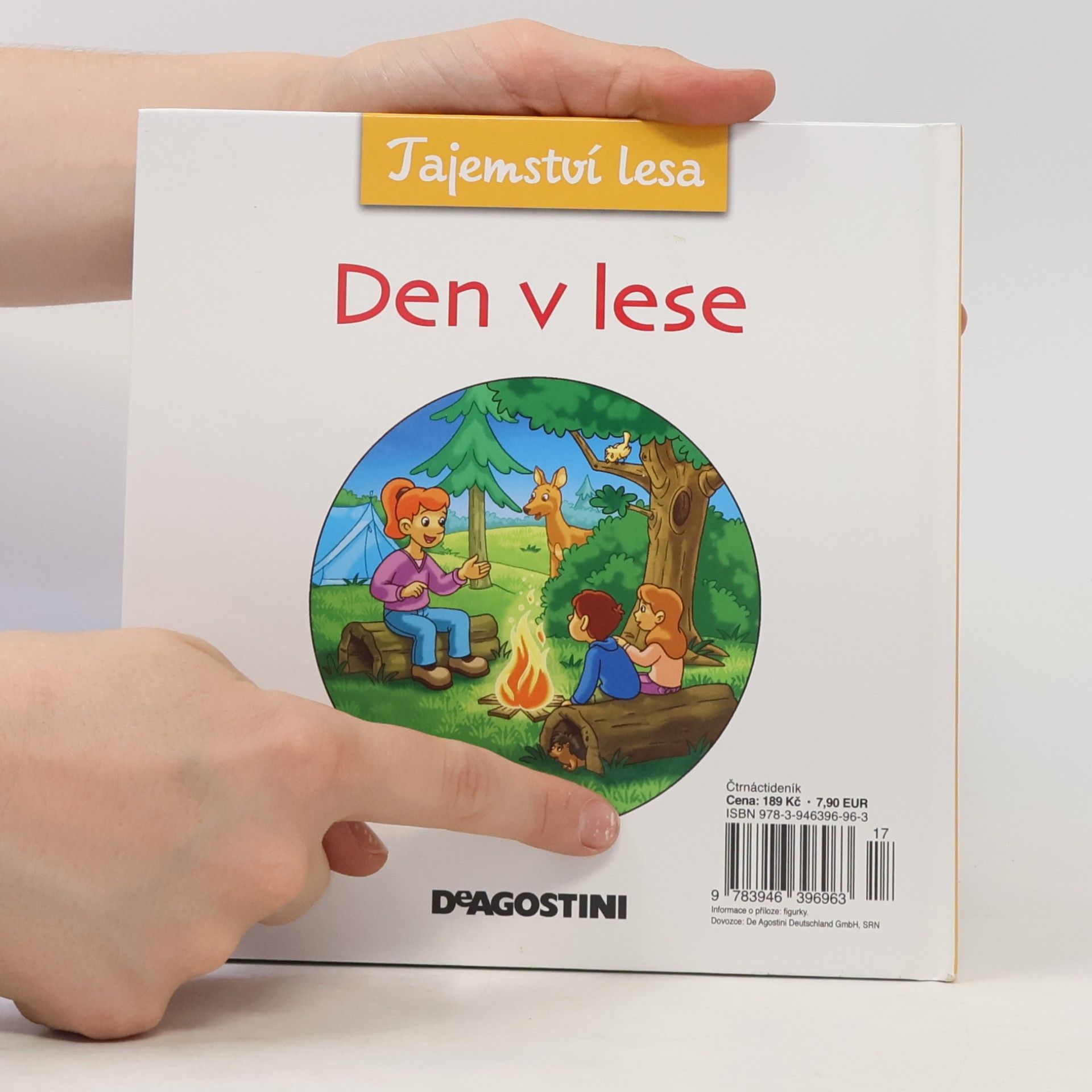 Autorenkollektiv Tajemství lesa 18. Den v lese