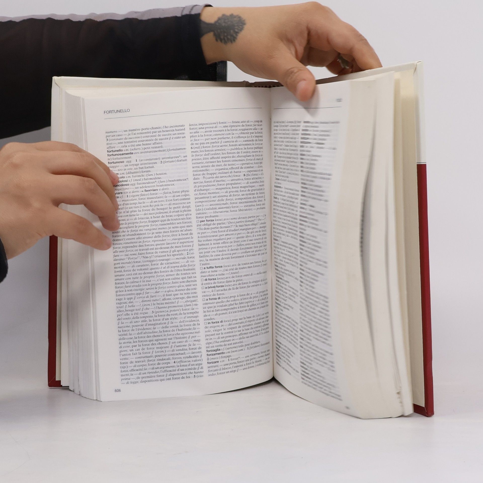 Collectif d'auteurs L'enciclopedia 33