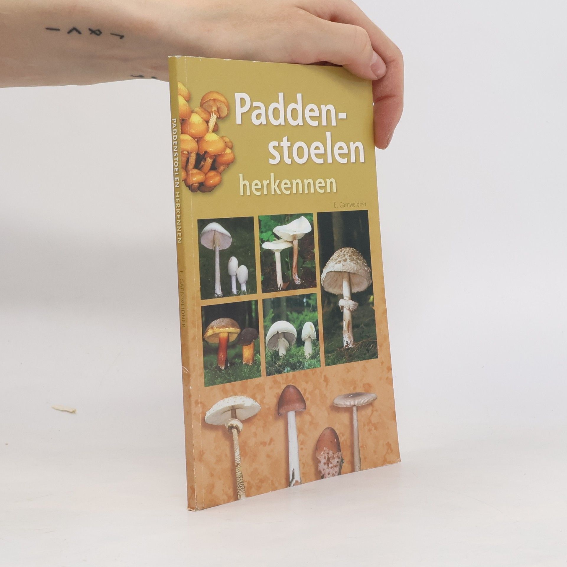 E. Garnweidner Paddenstoelen herkennen