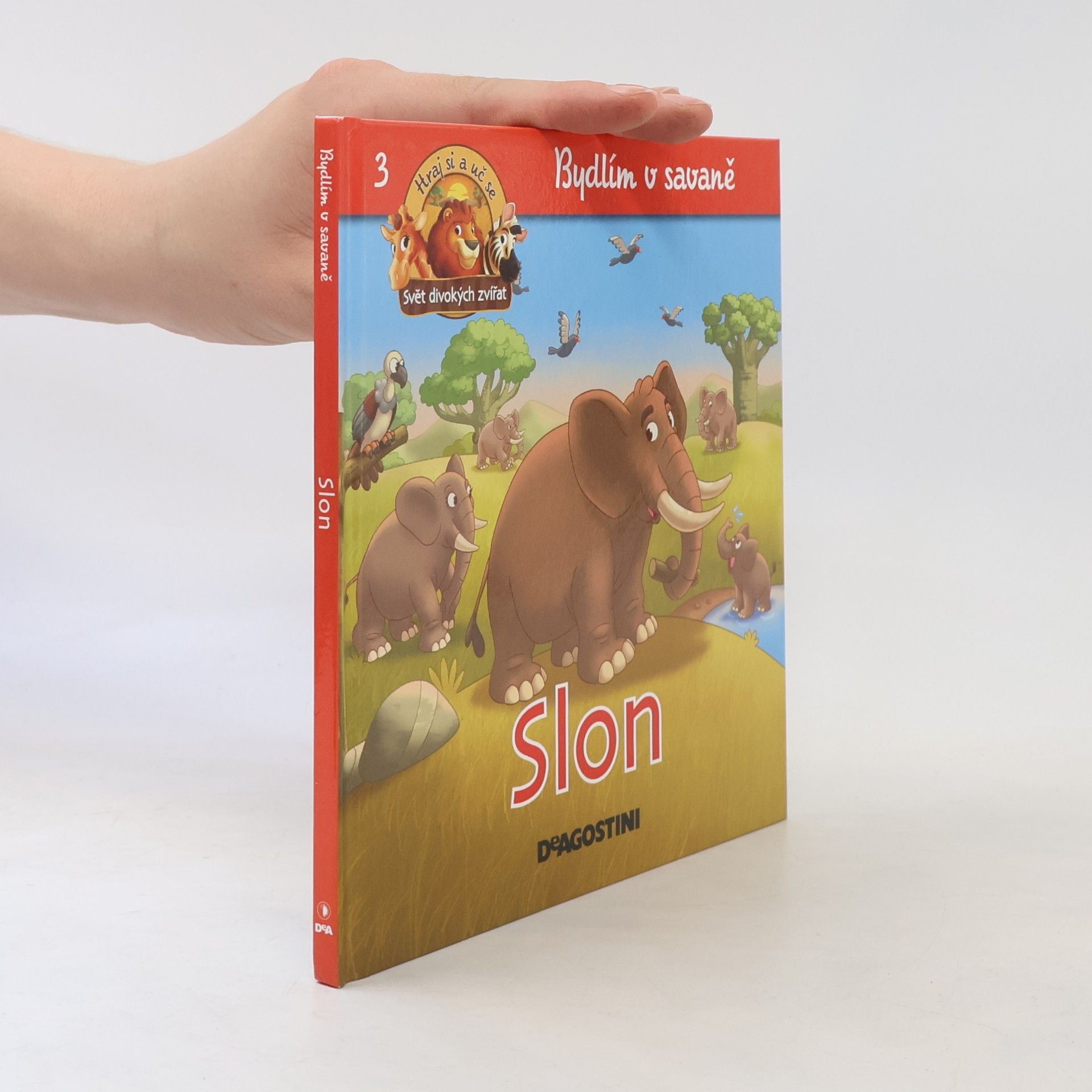 Kolektiv autorů Bydlím v savaně 3. Slon