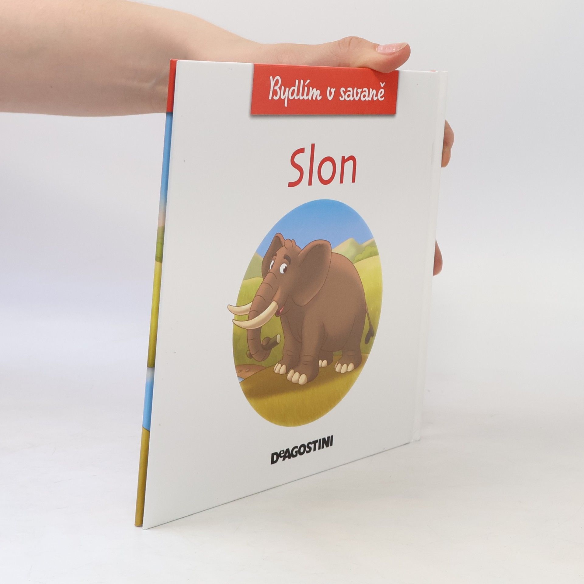 Kolektiv autorů Bydlím v savaně 3. Slon