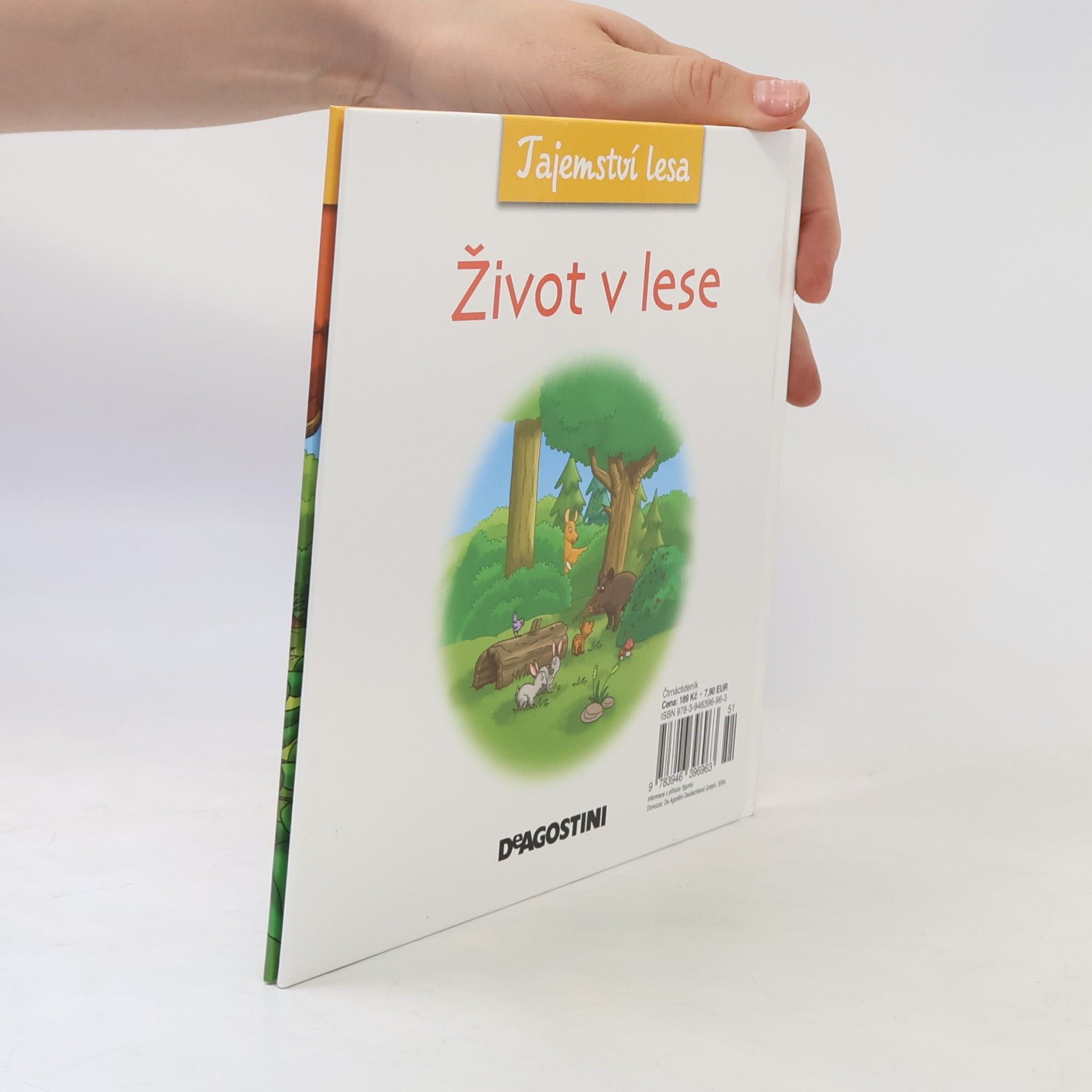 Autorenkollektiv Tajemství lesa 9. Život v lese