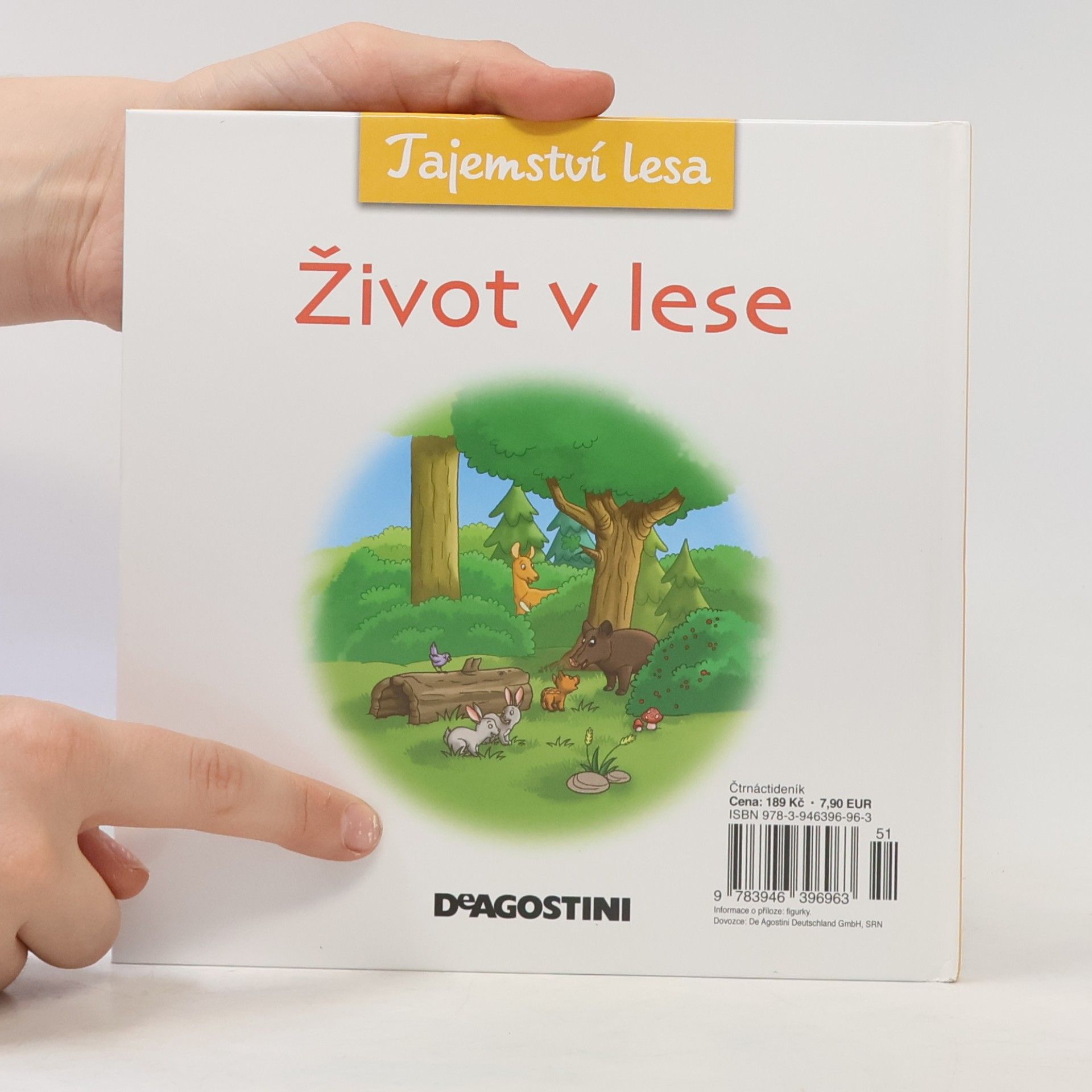 Autorenkollektiv Tajemství lesa 9. Život v lese
