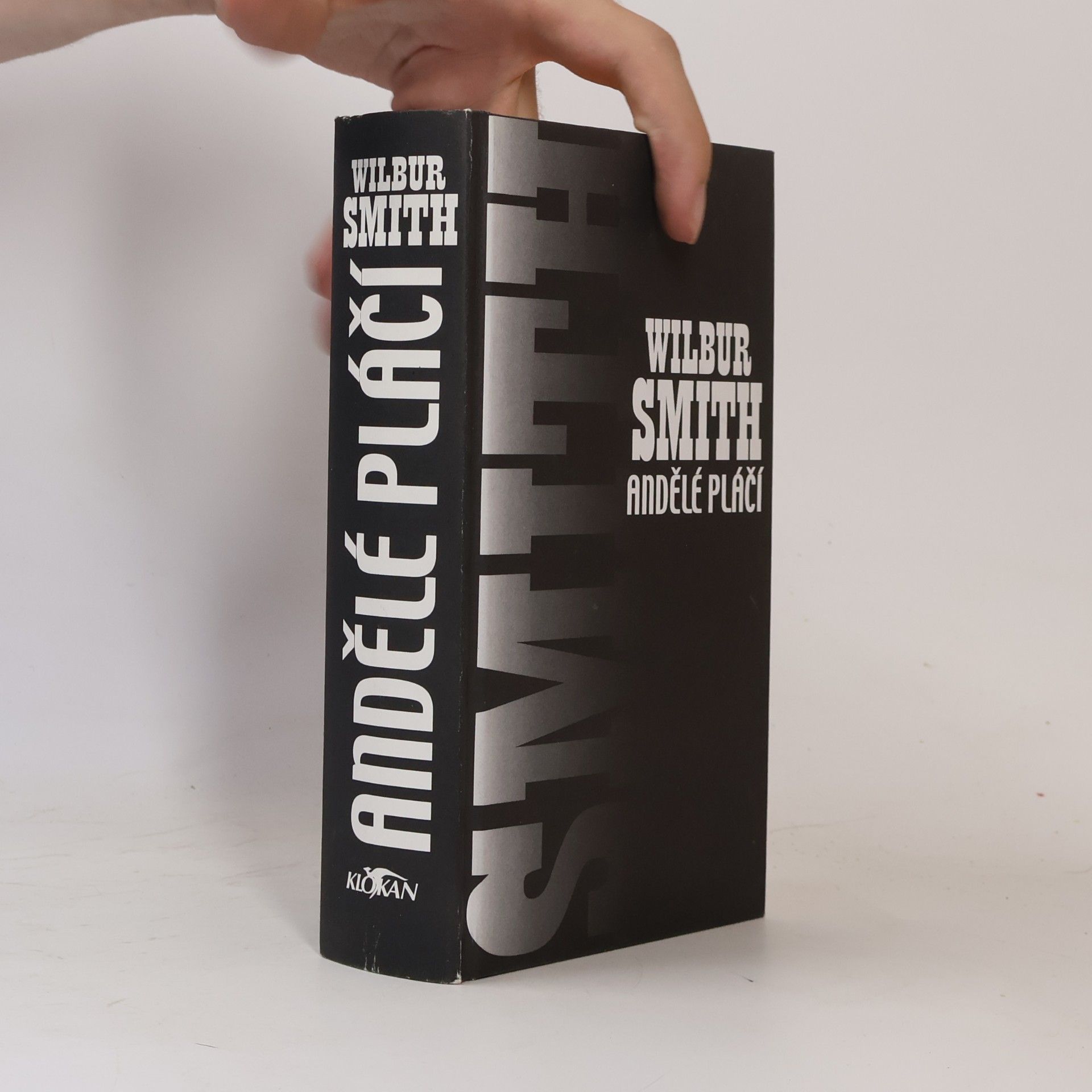 Wilbur Smith Andělé pláčí