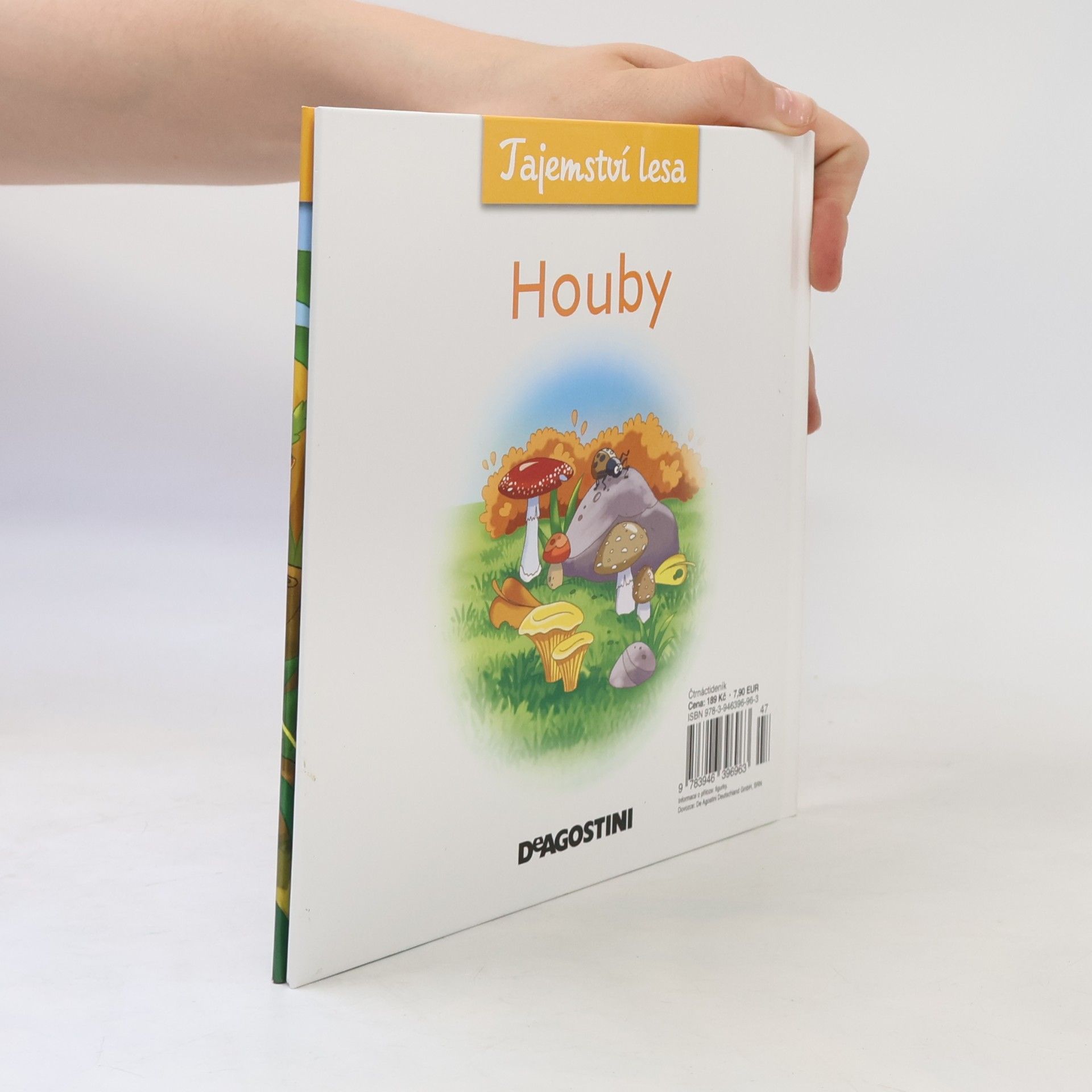 Autorenkollektiv Tajemství lesa 7. Houby