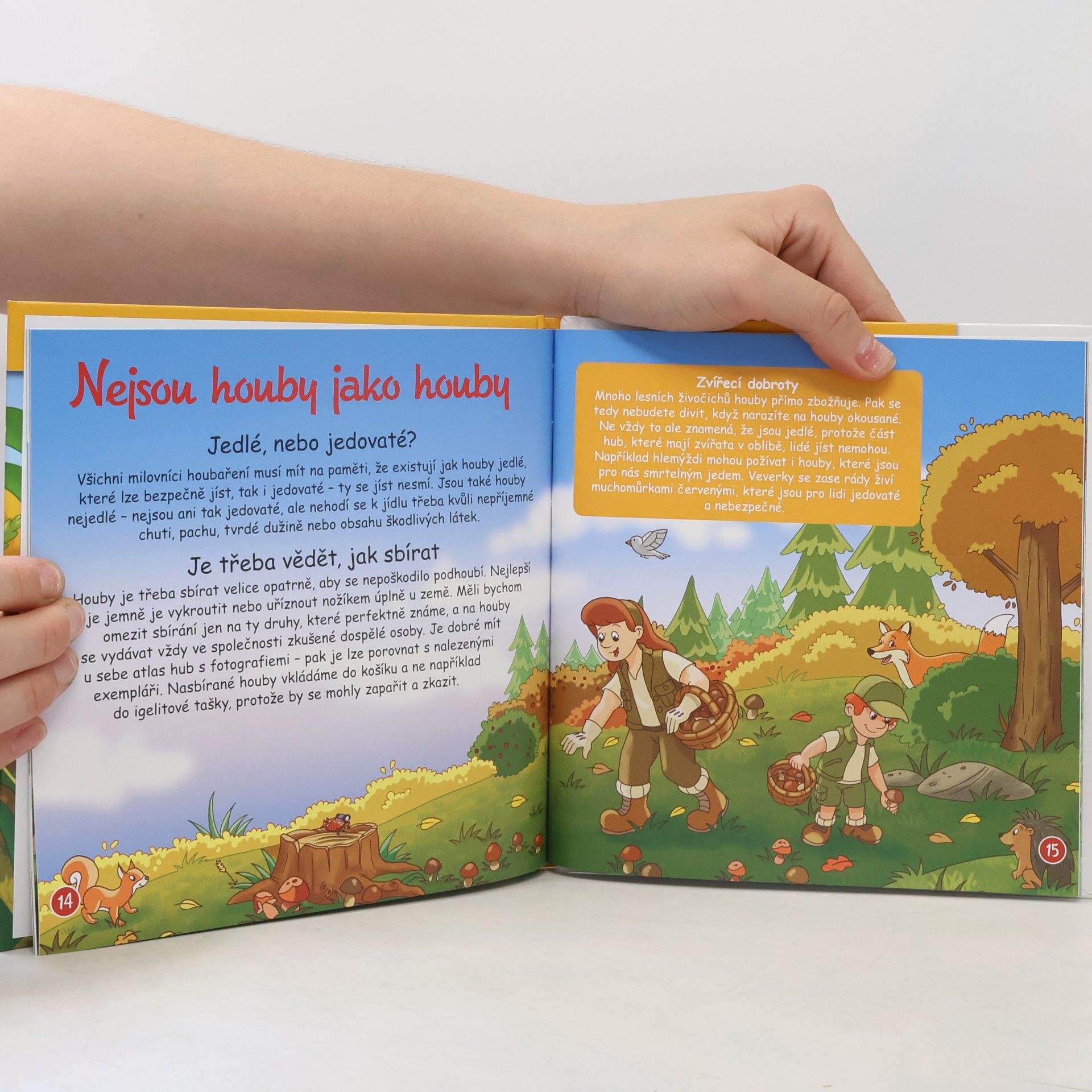 Autorenkollektiv Tajemství lesa 7. Houby