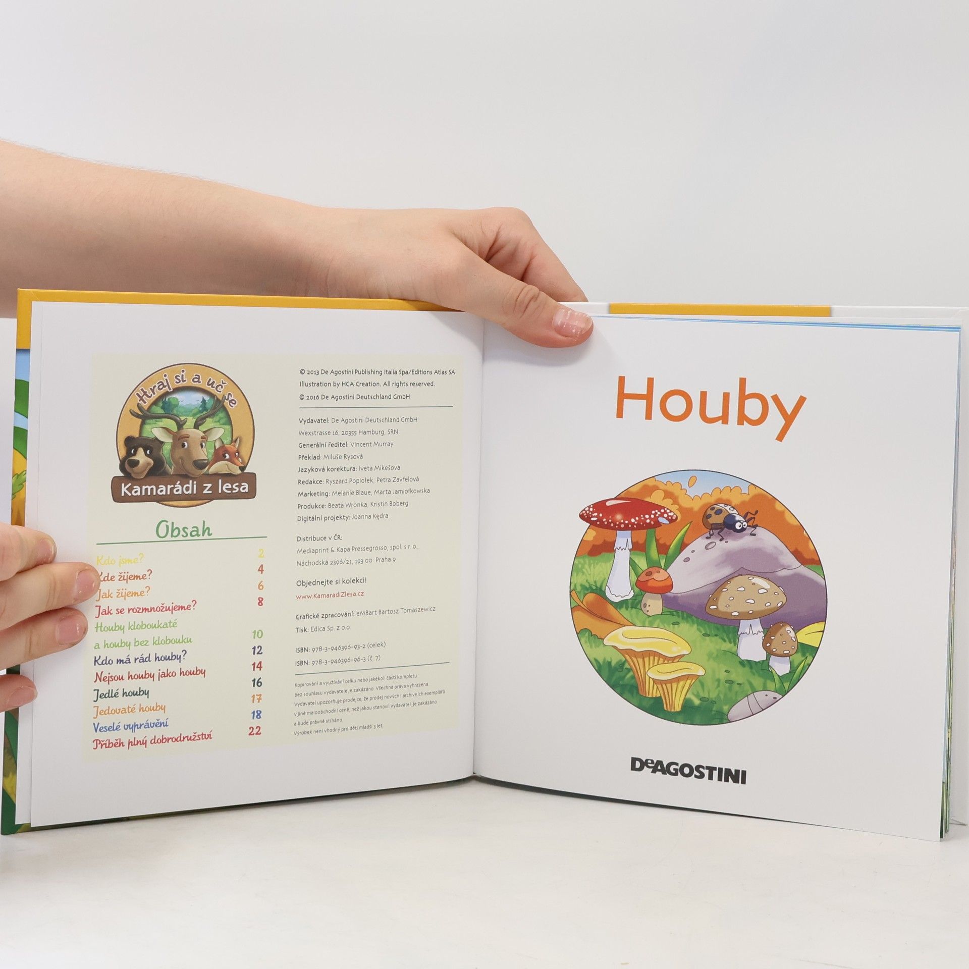 Autorenkollektiv Tajemství lesa 7. Houby