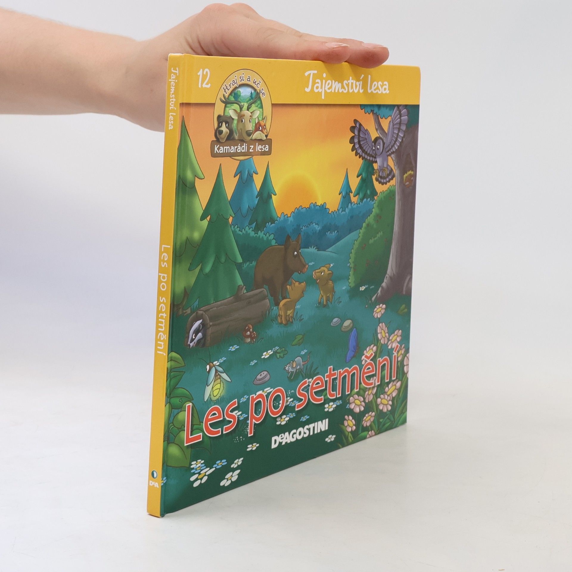 Autorenkollektiv Tajemství lesa 12. Les po setmění