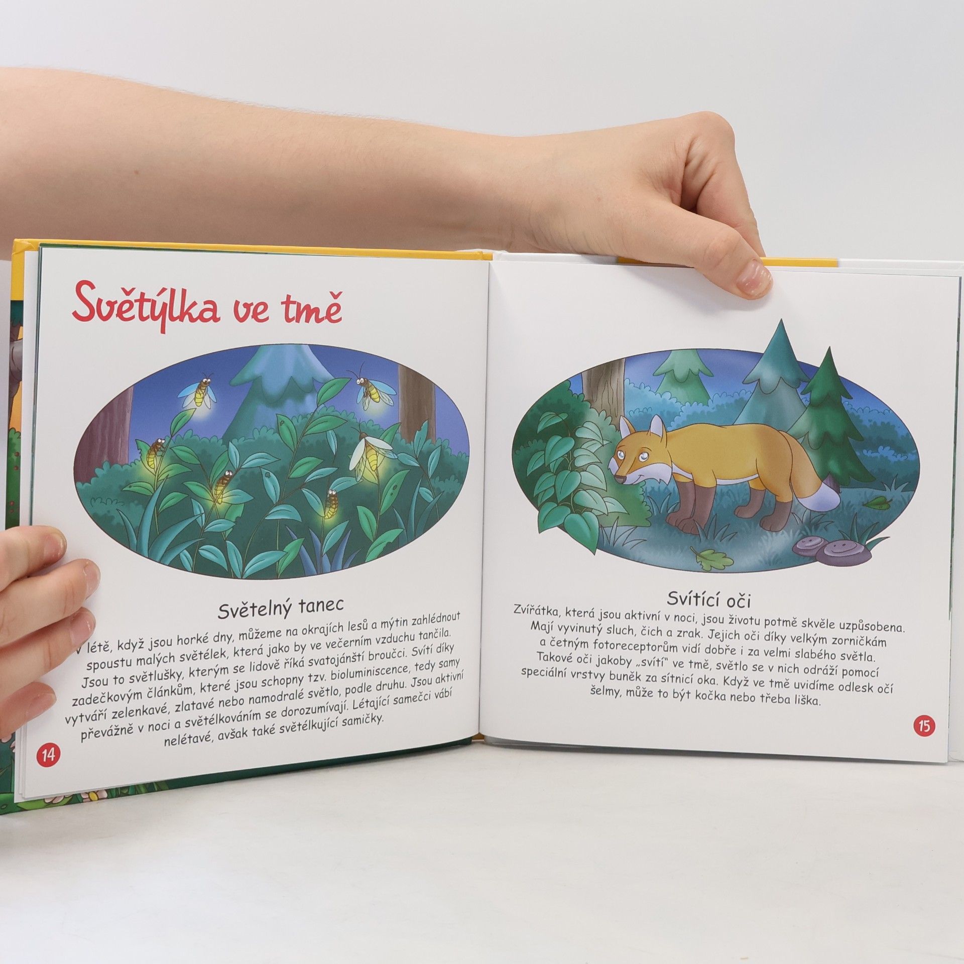 Autorenkollektiv Tajemství lesa 12. Les po setmění