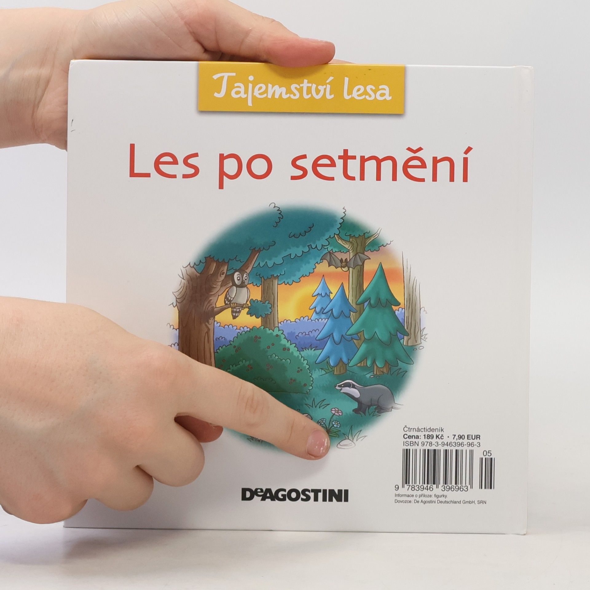 Autorenkollektiv Tajemství lesa 12. Les po setmění