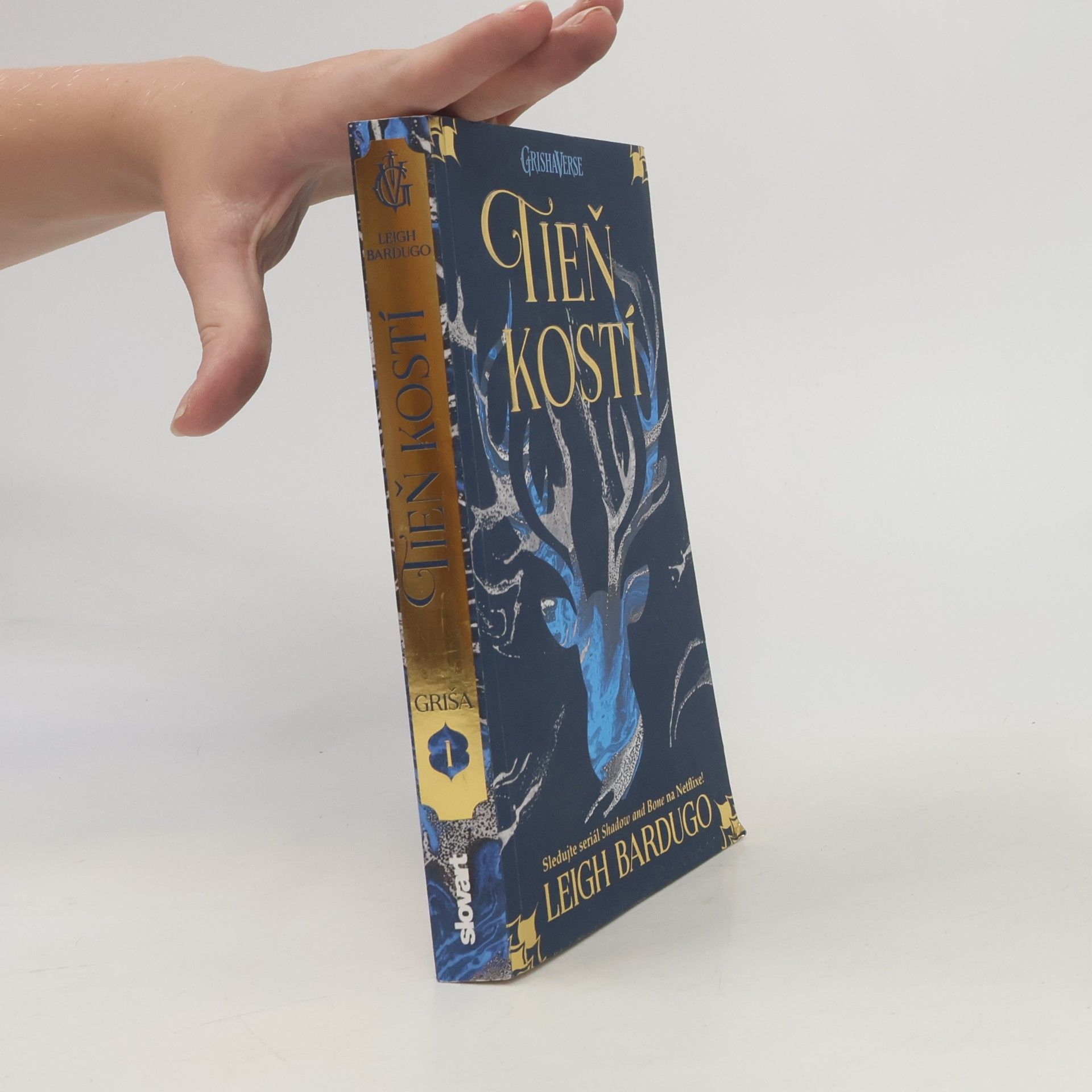 Leigh Bardugo Tieň kostí