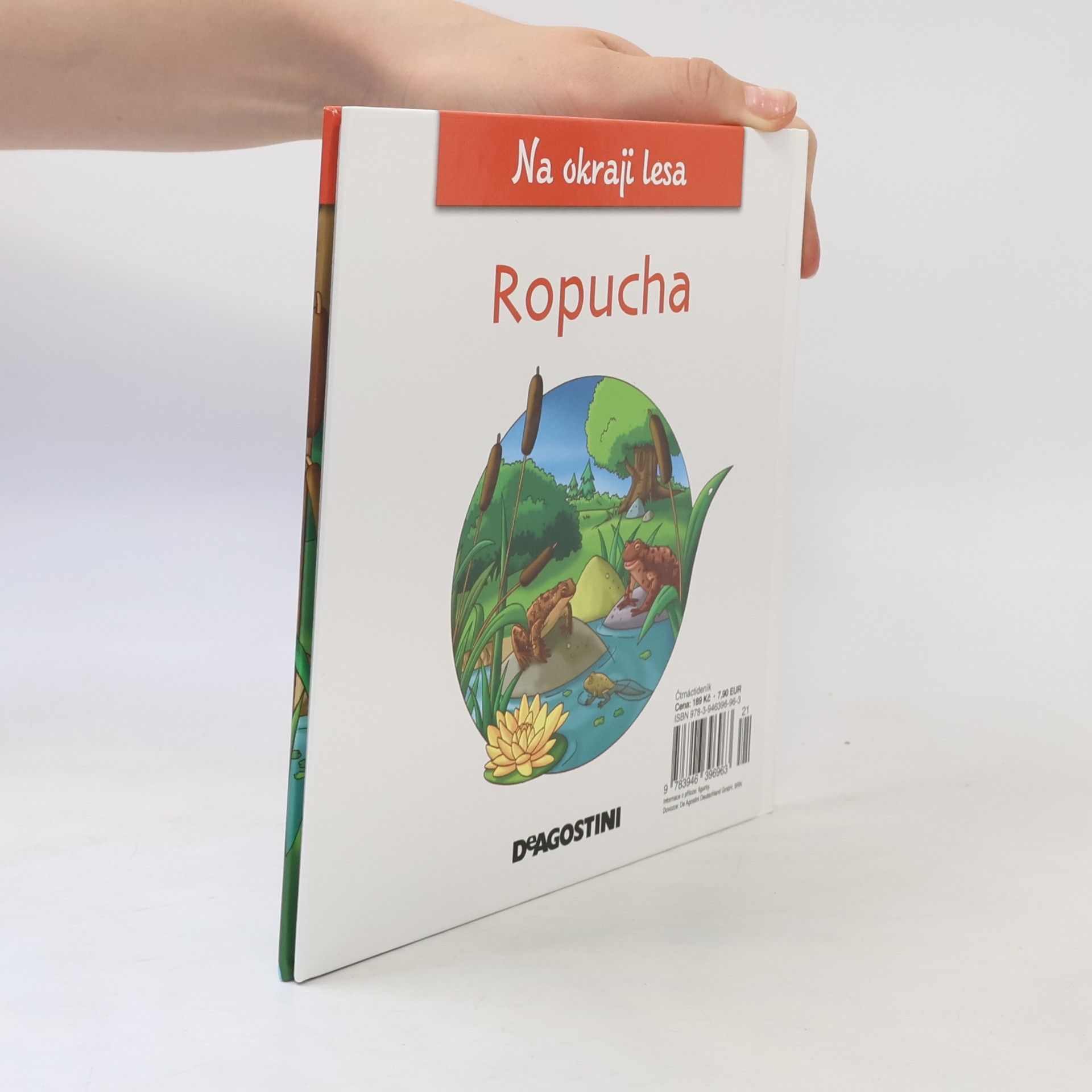 Kolektiv autorů Na okraji lesa 20. Ropucha