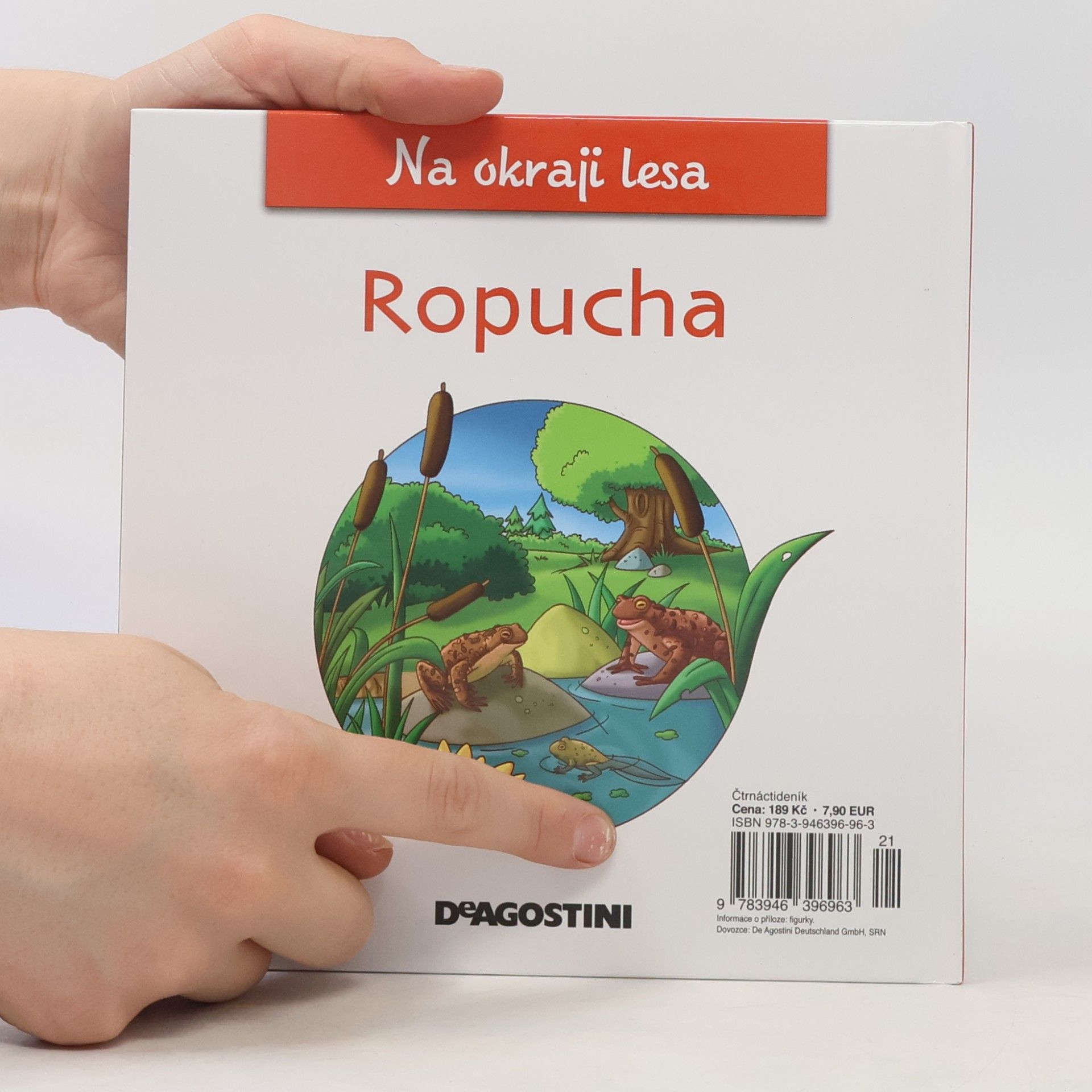 Kolektiv autorů Na okraji lesa 20. Ropucha