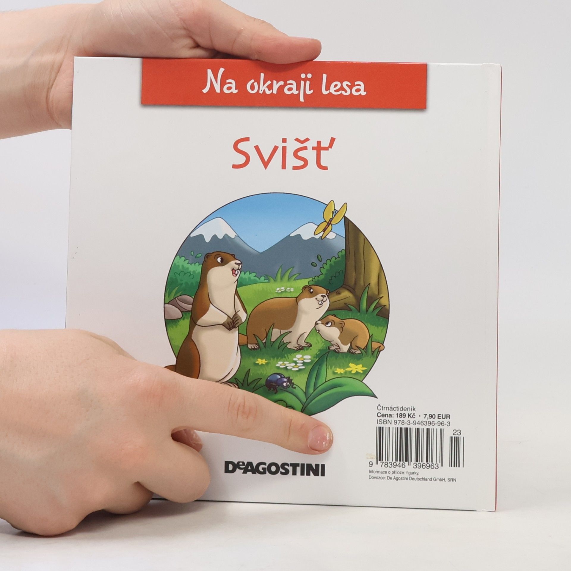 Kolektív autorov Na okraji lesa 21. Svišť
