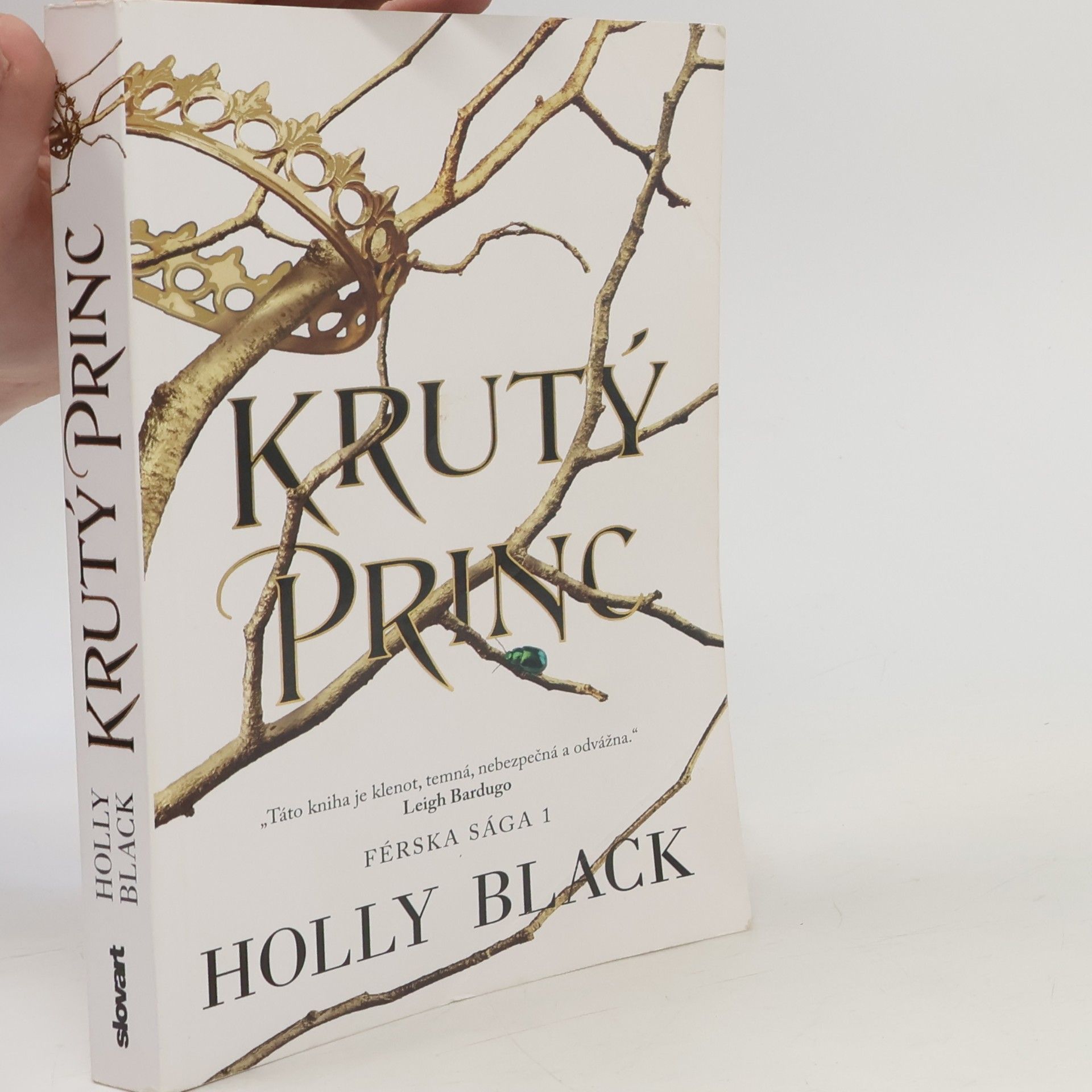 Holly Black Krutý princ
