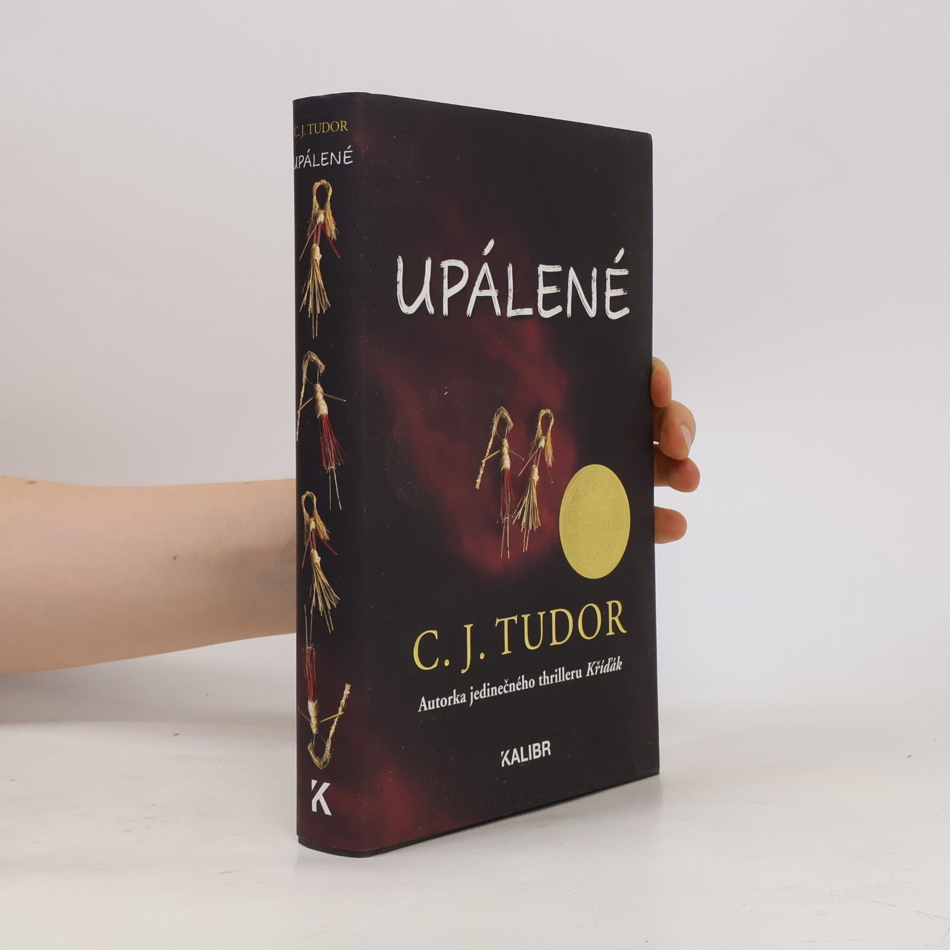 C. J. Tudor Upálené