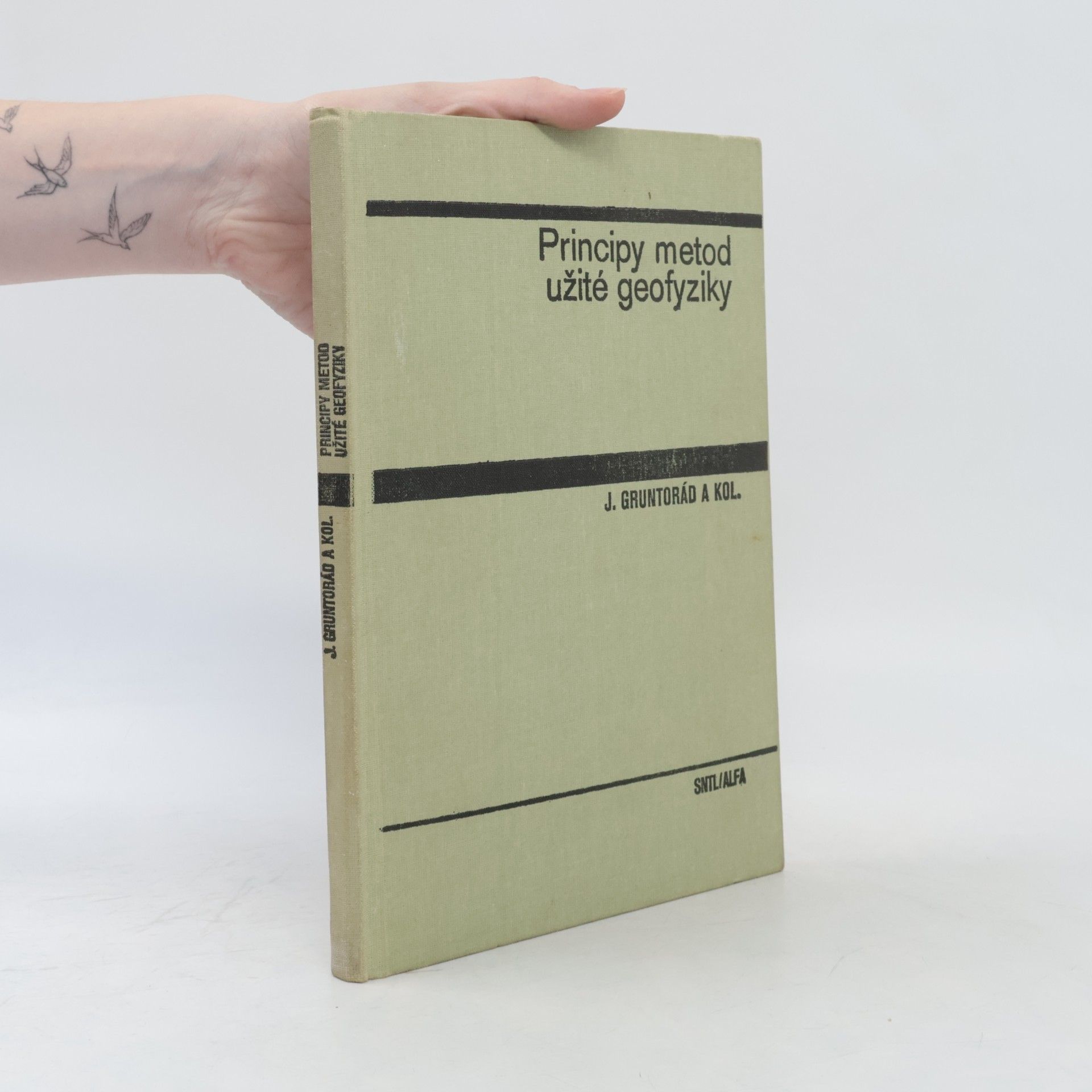 Collectif d'auteurs Principy metod užité geofyziky
