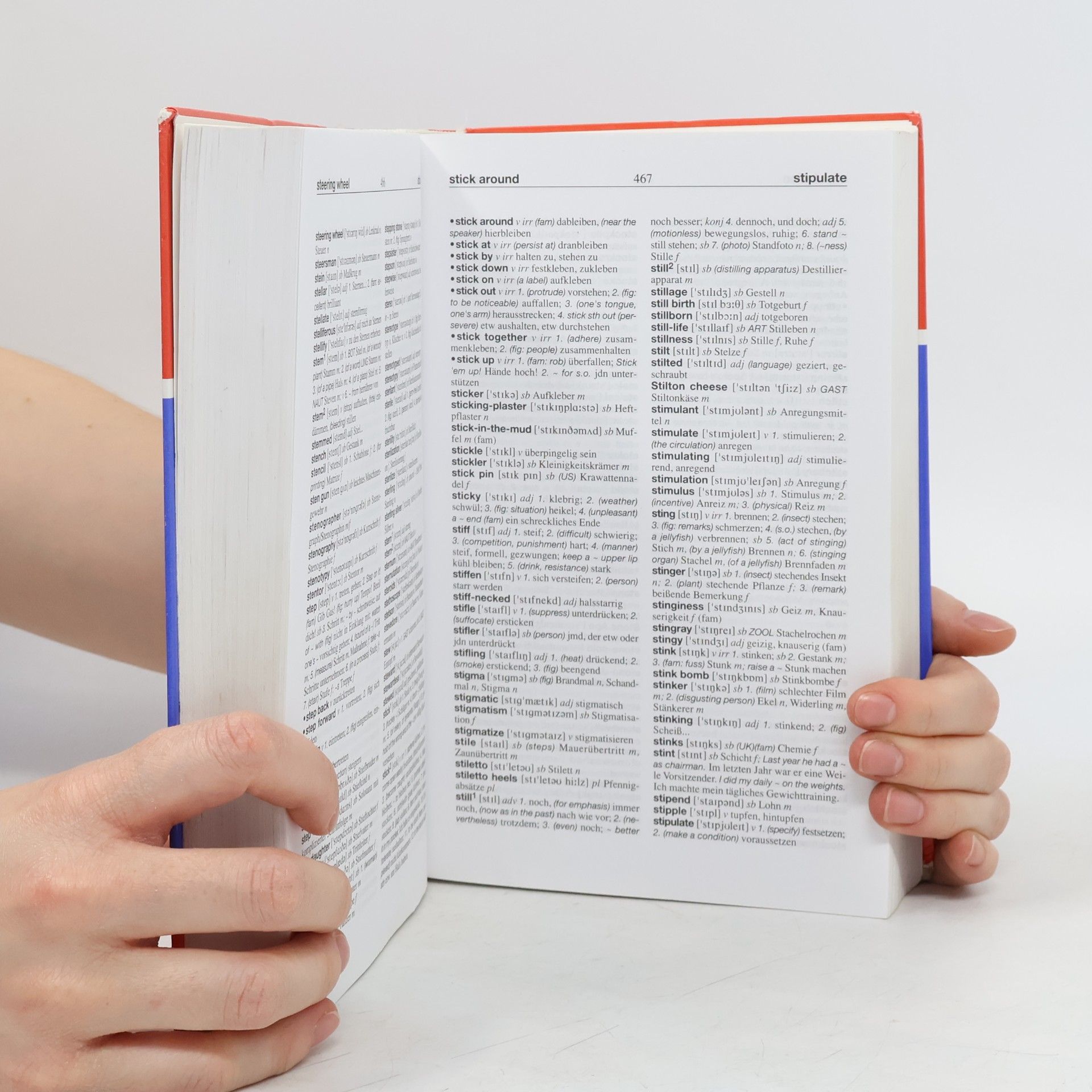 Barry Sandoval Großes Wörterbuch Englisch - Deutsch, Deutsch - Englisch
