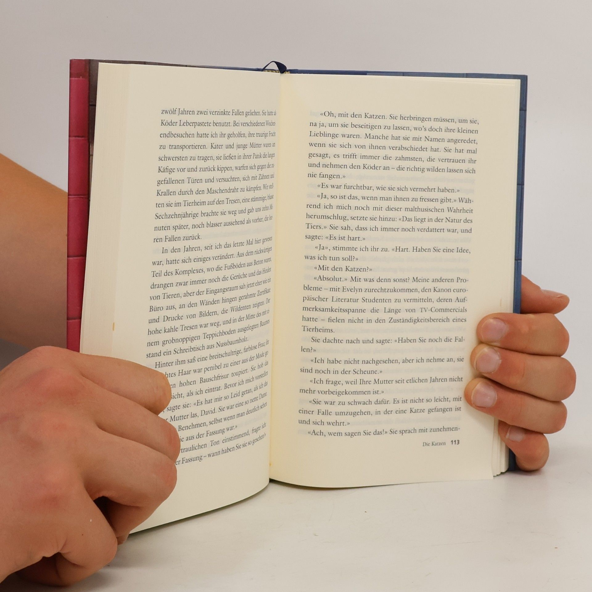 John Updike Wie war's wirklich