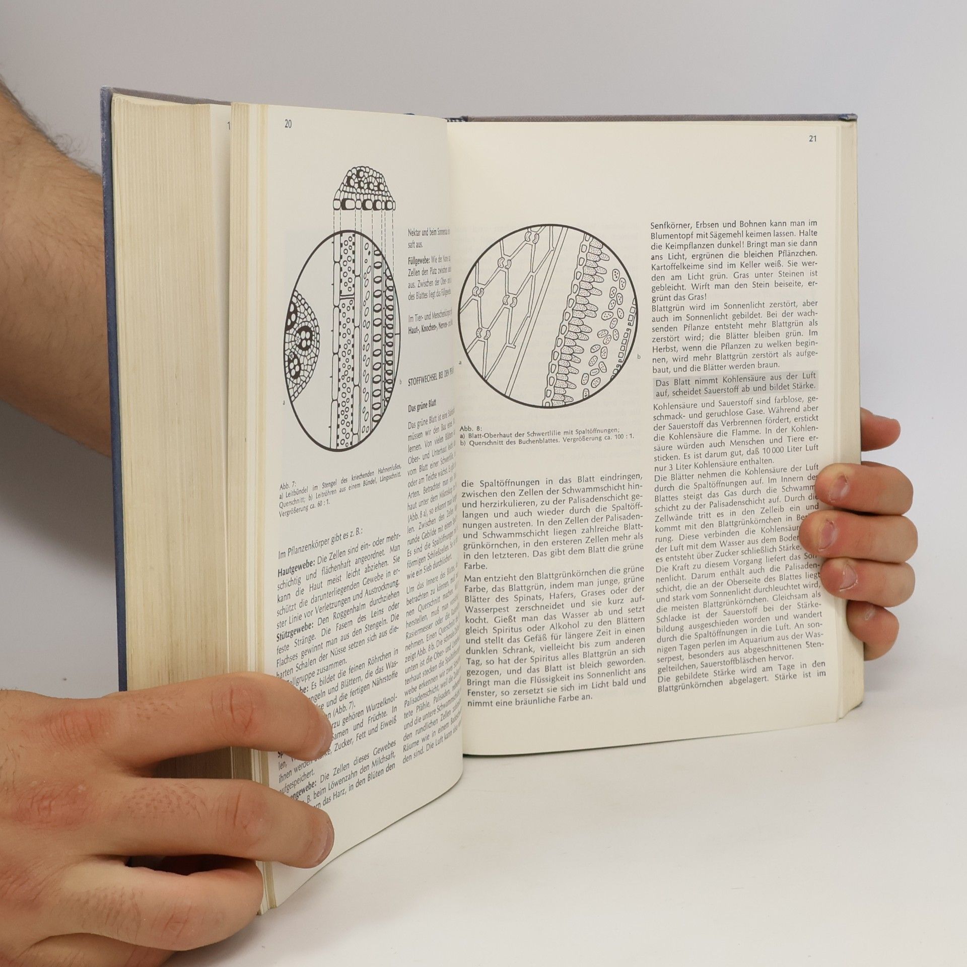 Autorenkollektiv Kamps neues Realienbuch