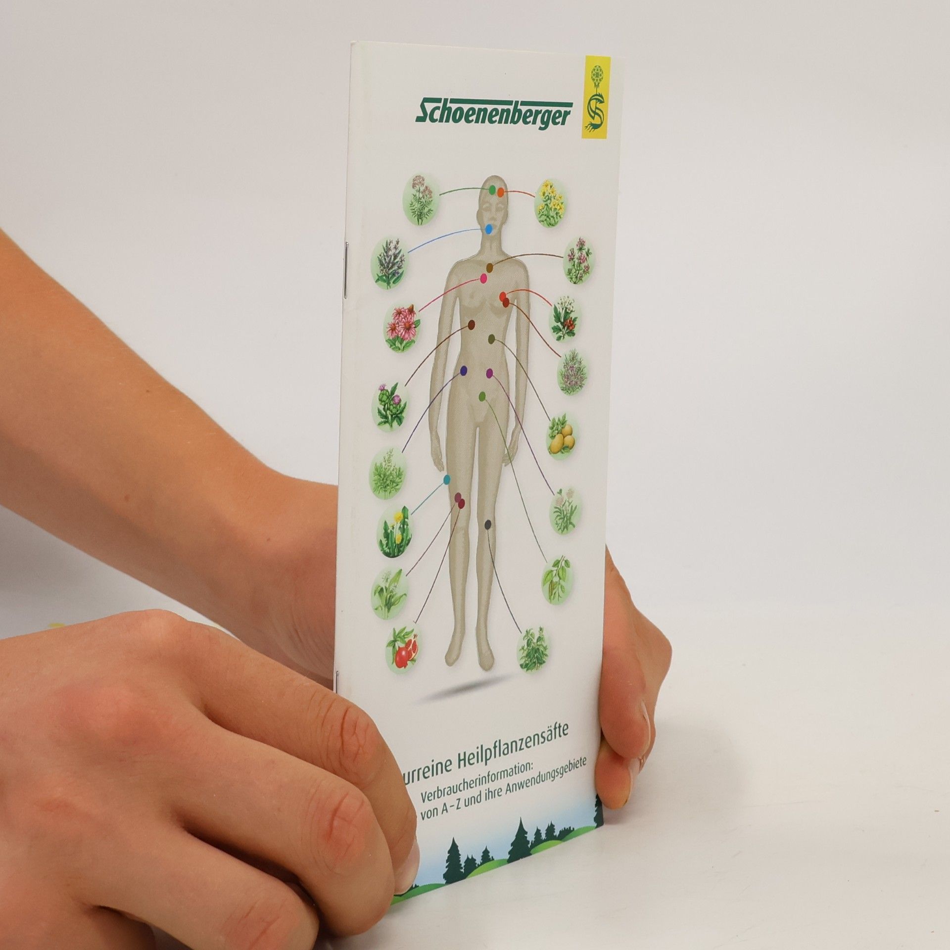 Kolektiv autorů Naturreine Heilpflanzensäfte