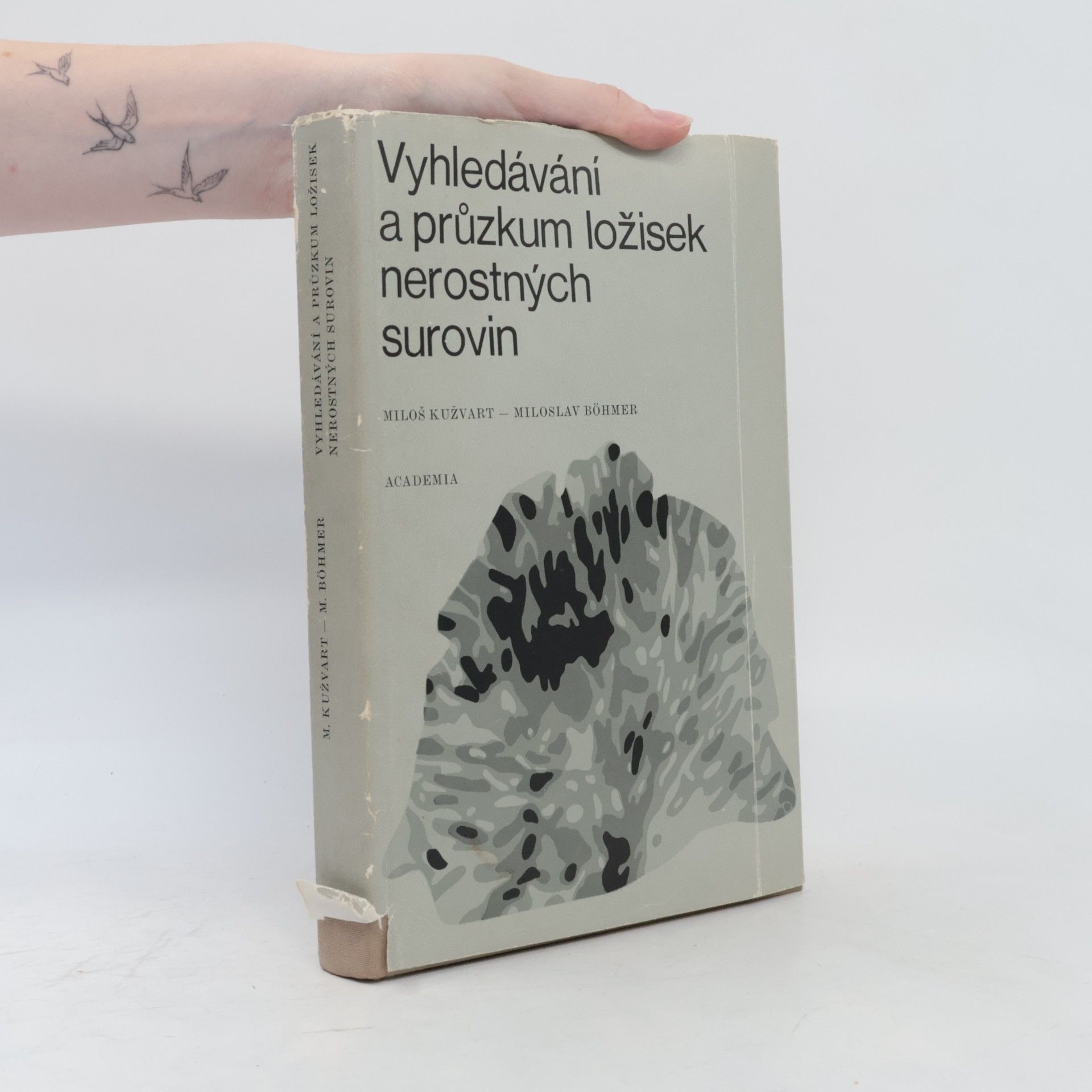 Vyhledávání a průzkum ložisek nerostných surovin