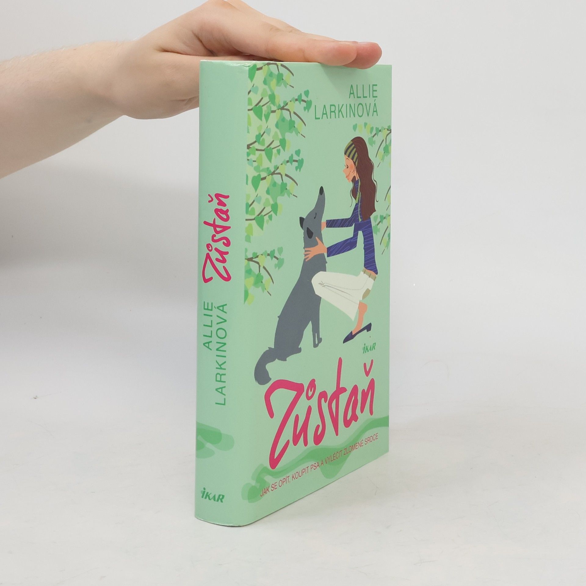 Allie Larkin Zůstaň. Jak se opít, koupit psa a vyléčit zlomené srdce