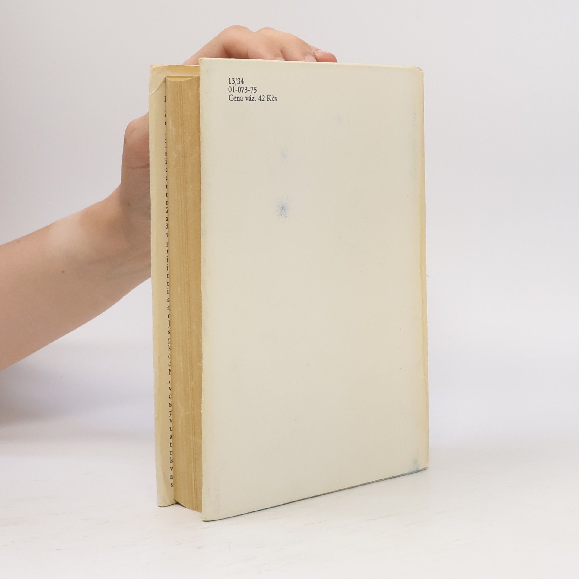 Thomas Mann Kouzelný vrch