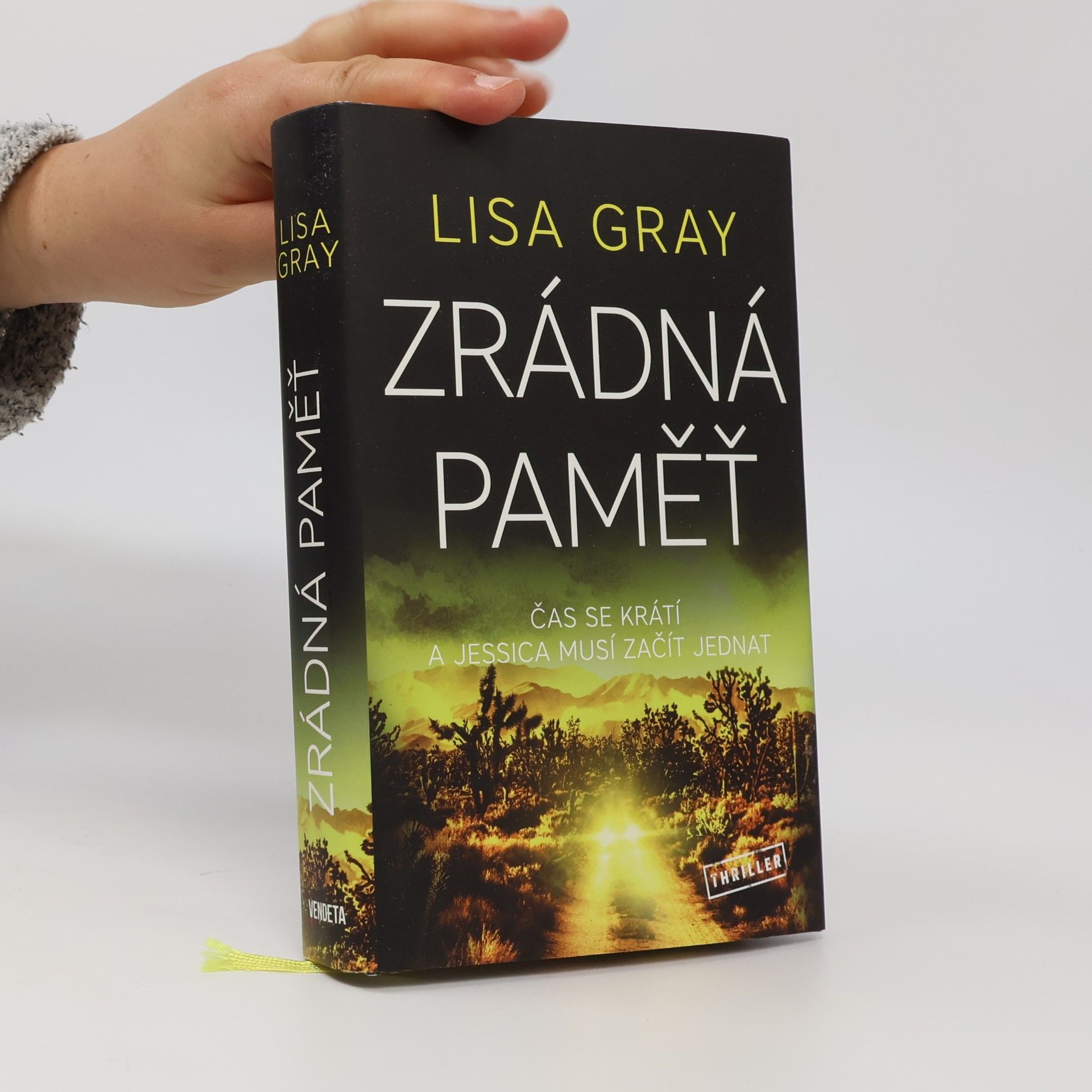Lisa Gray Zrádná paměť