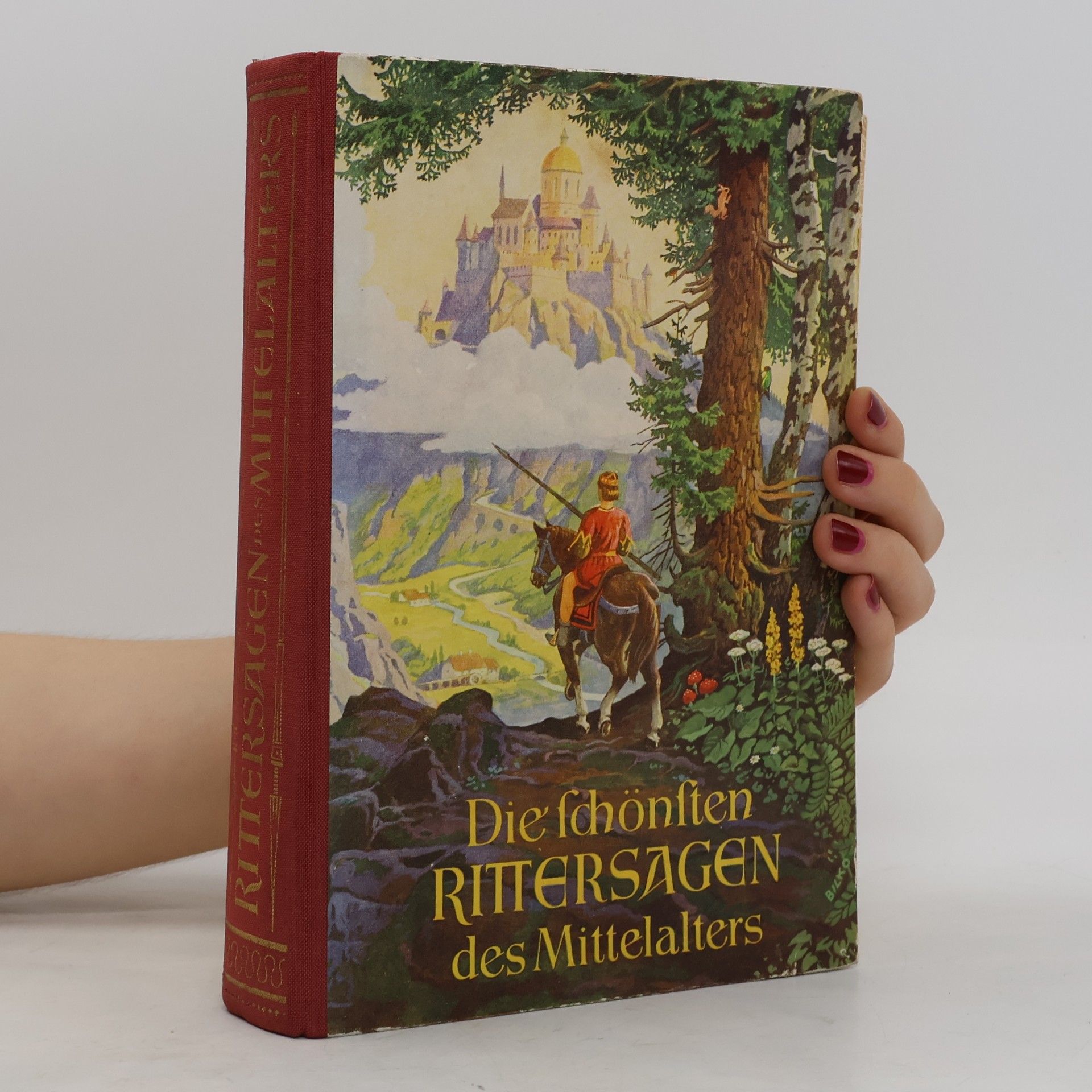 Gerhard Aick Die Schönsten Rittersagen des Mittelalters