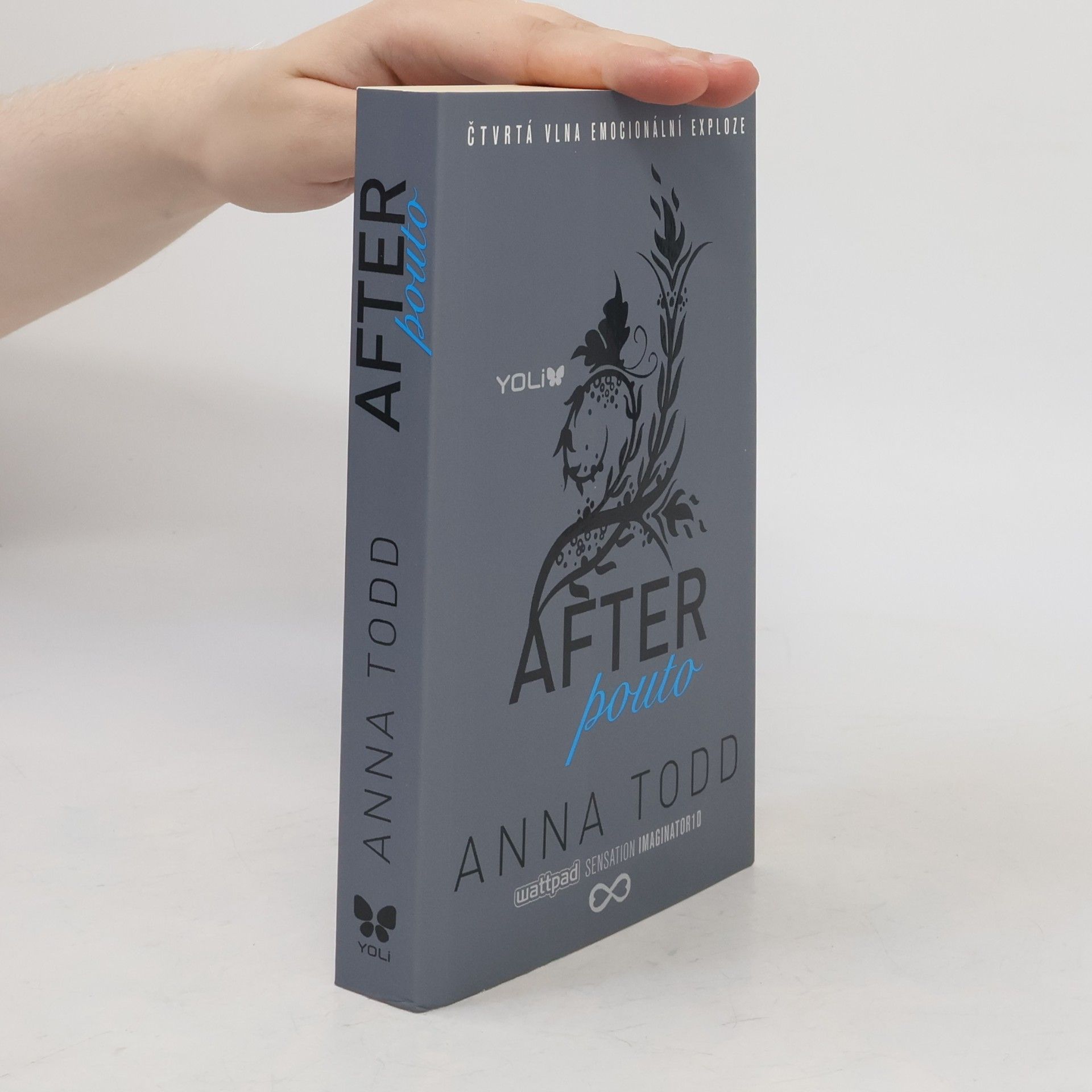 Anna Todd After. Pouto