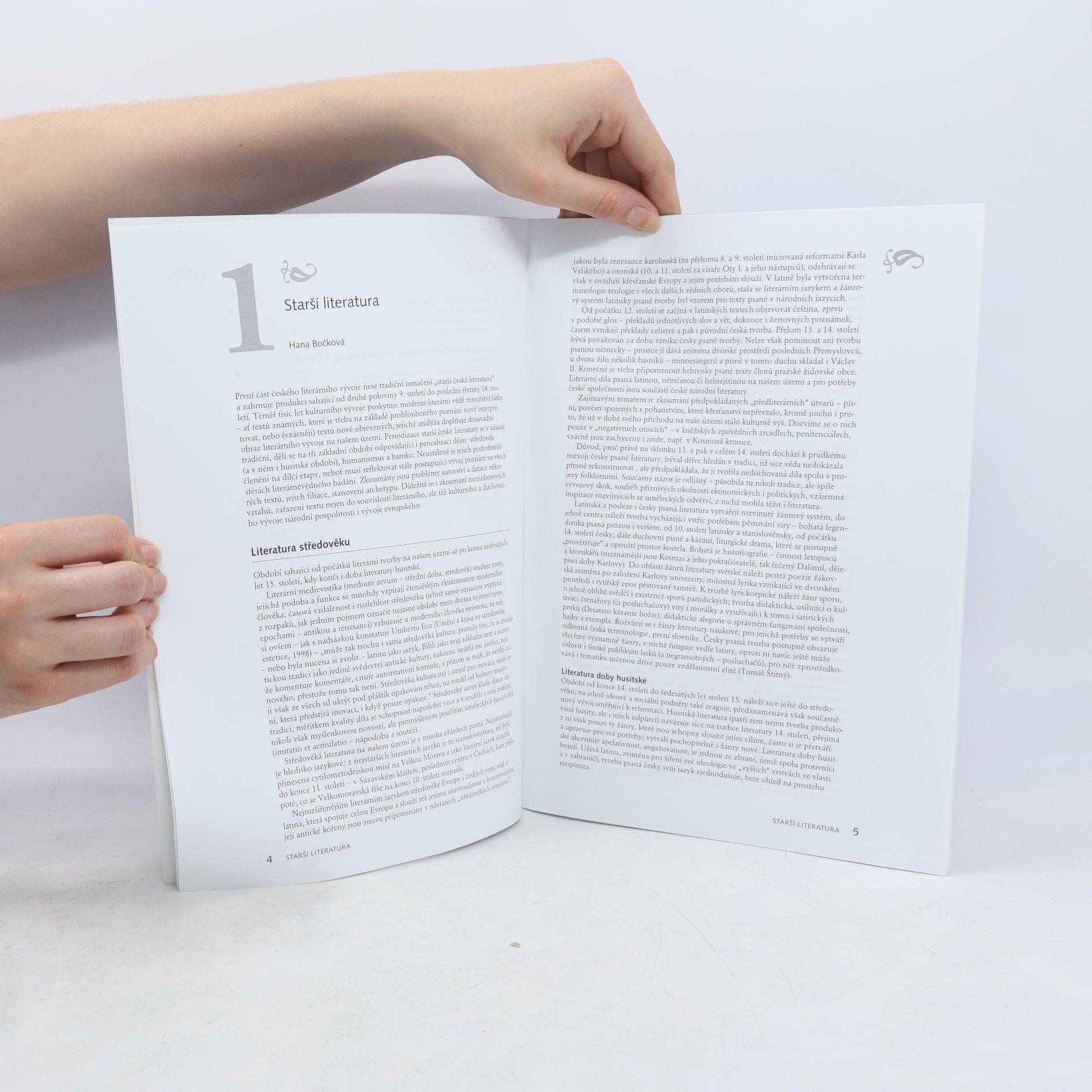 Hana Bočková Nové pohledy na českou literaturu