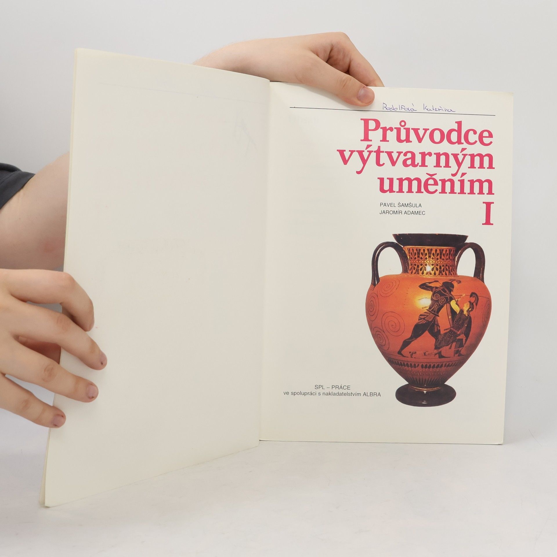 Pavel Šamšula Průvodce výtvarným uměním I