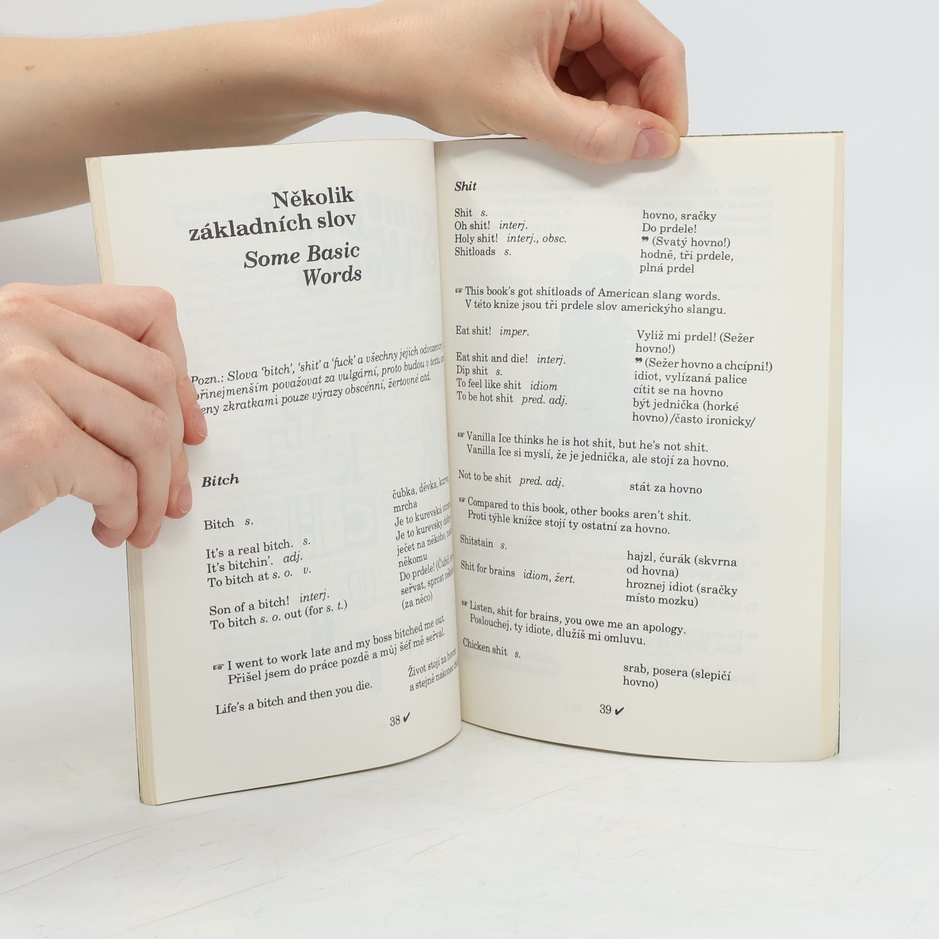 Sinclair Nicholas Wang-Dang American Slang. Wang-Dang Americký slang