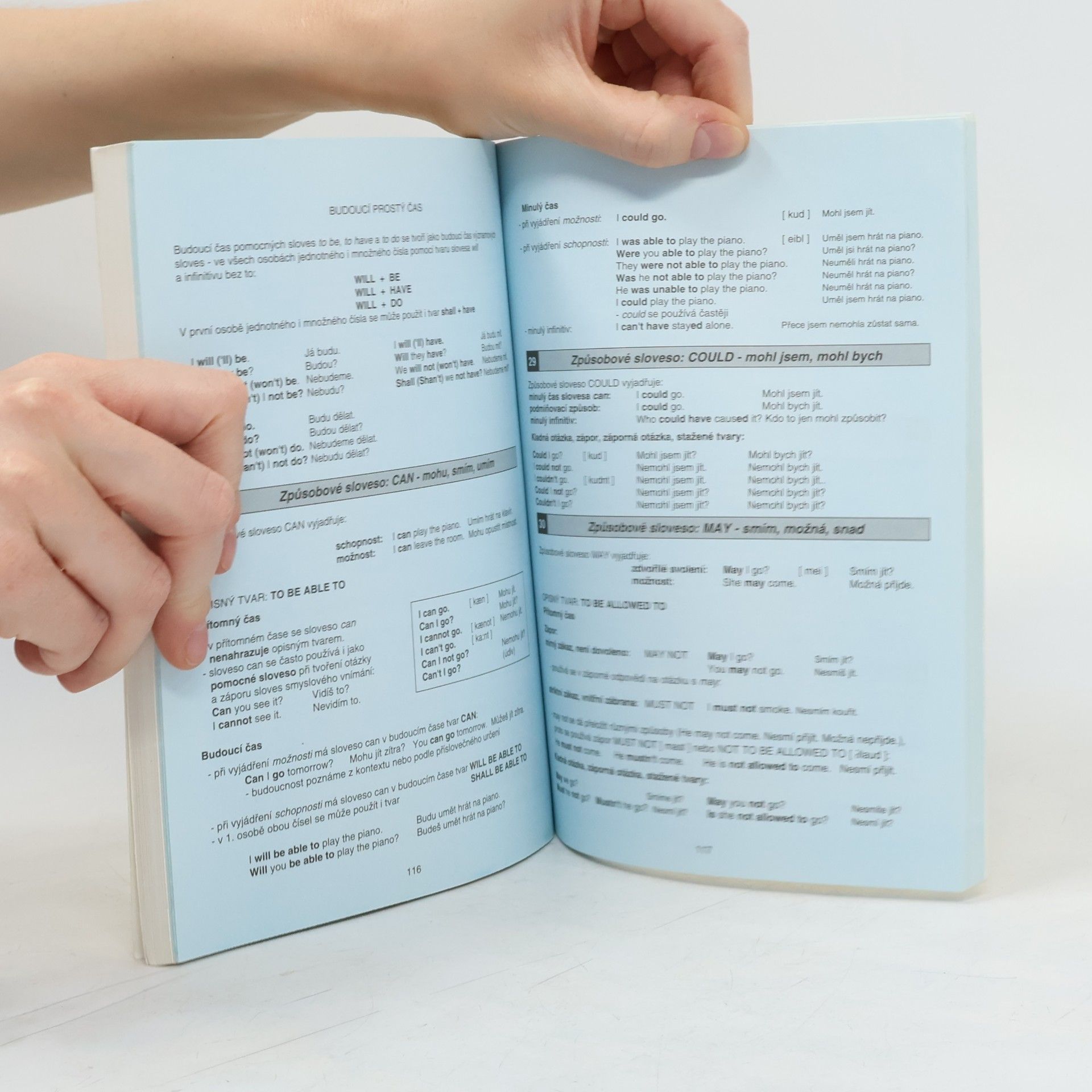 Martina Sobotíková INFOA English grammar analysis: Gramatické rozbory angličtiny I.