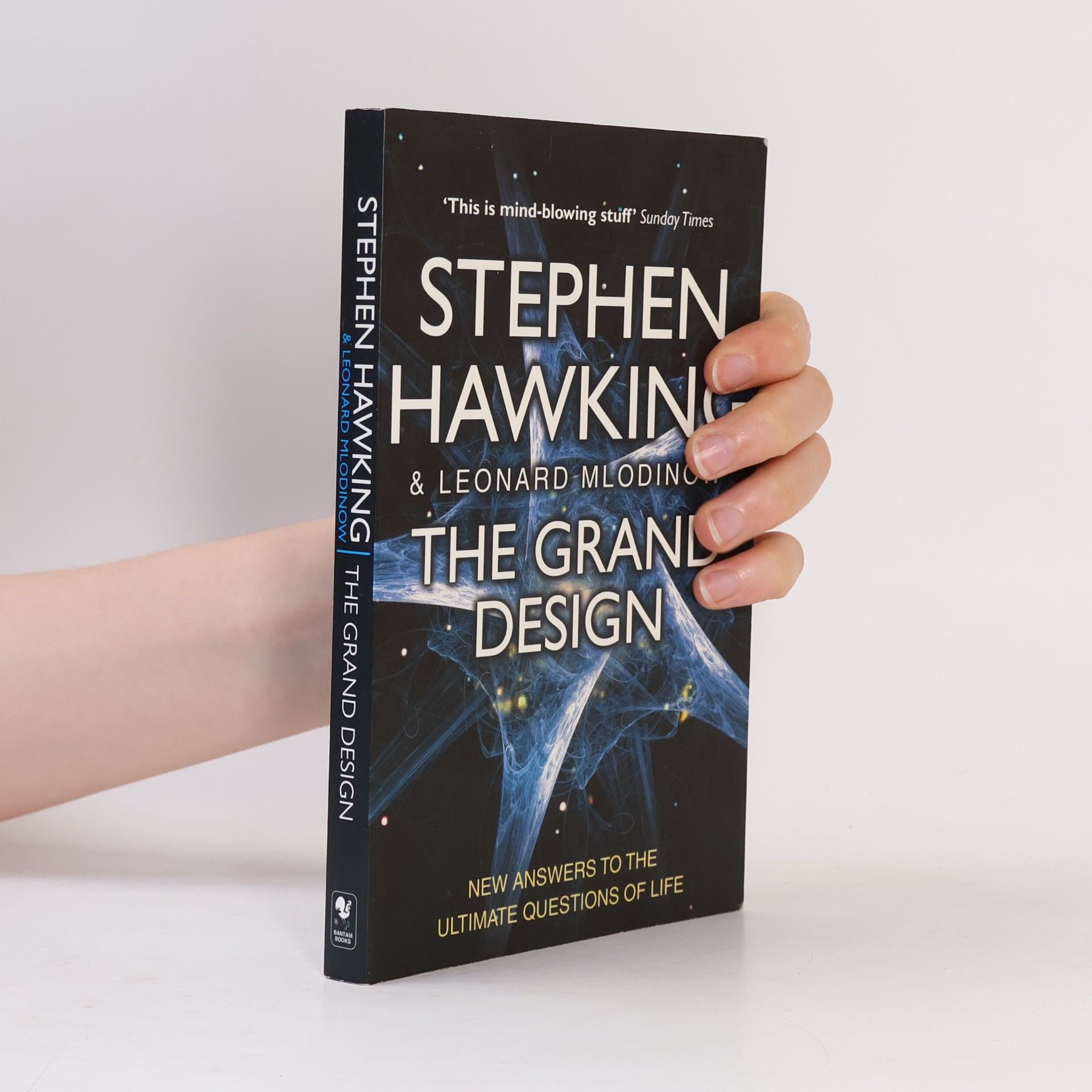 Stephen Hawking The Grand Design