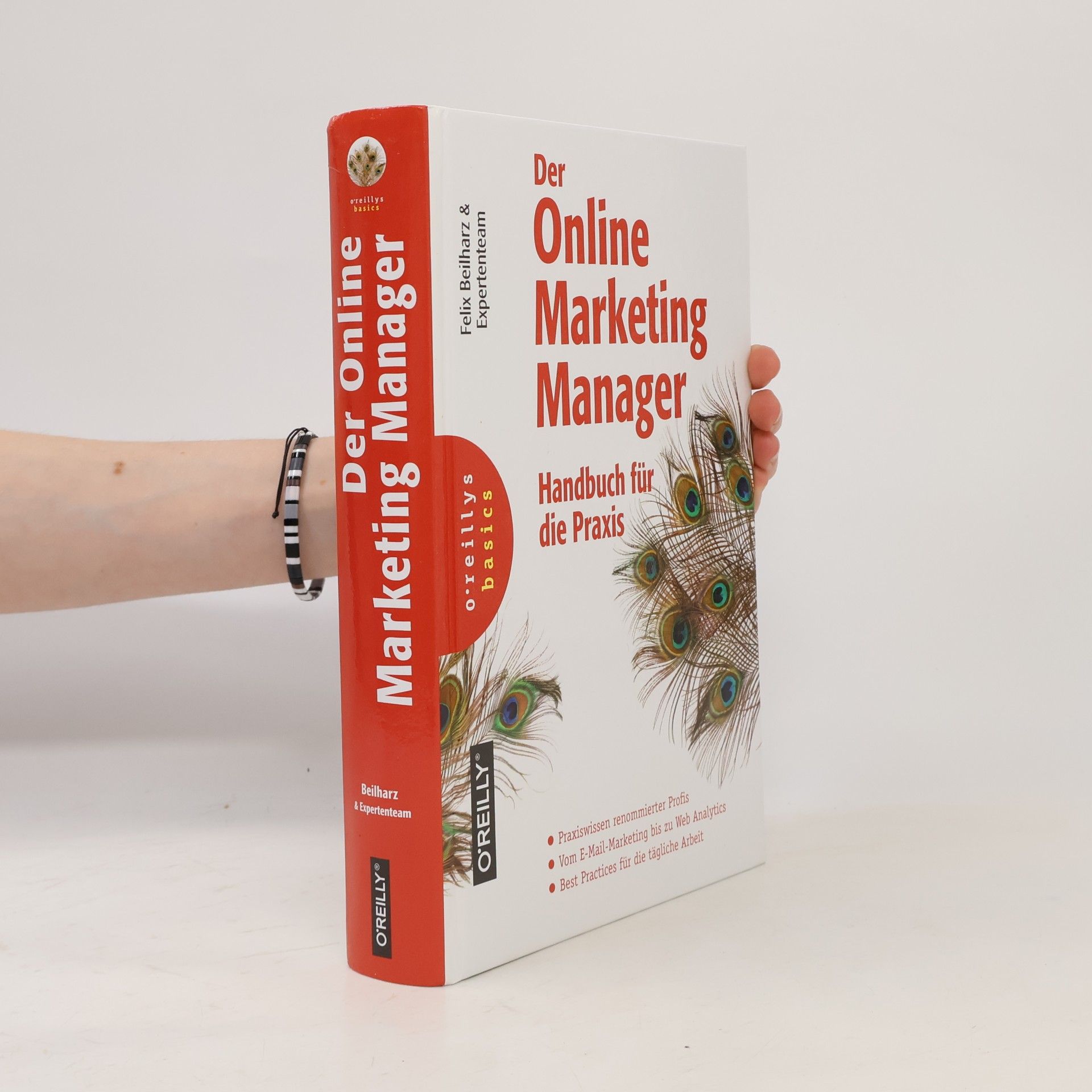 Felix Beilharz Der Online Marketing Manager